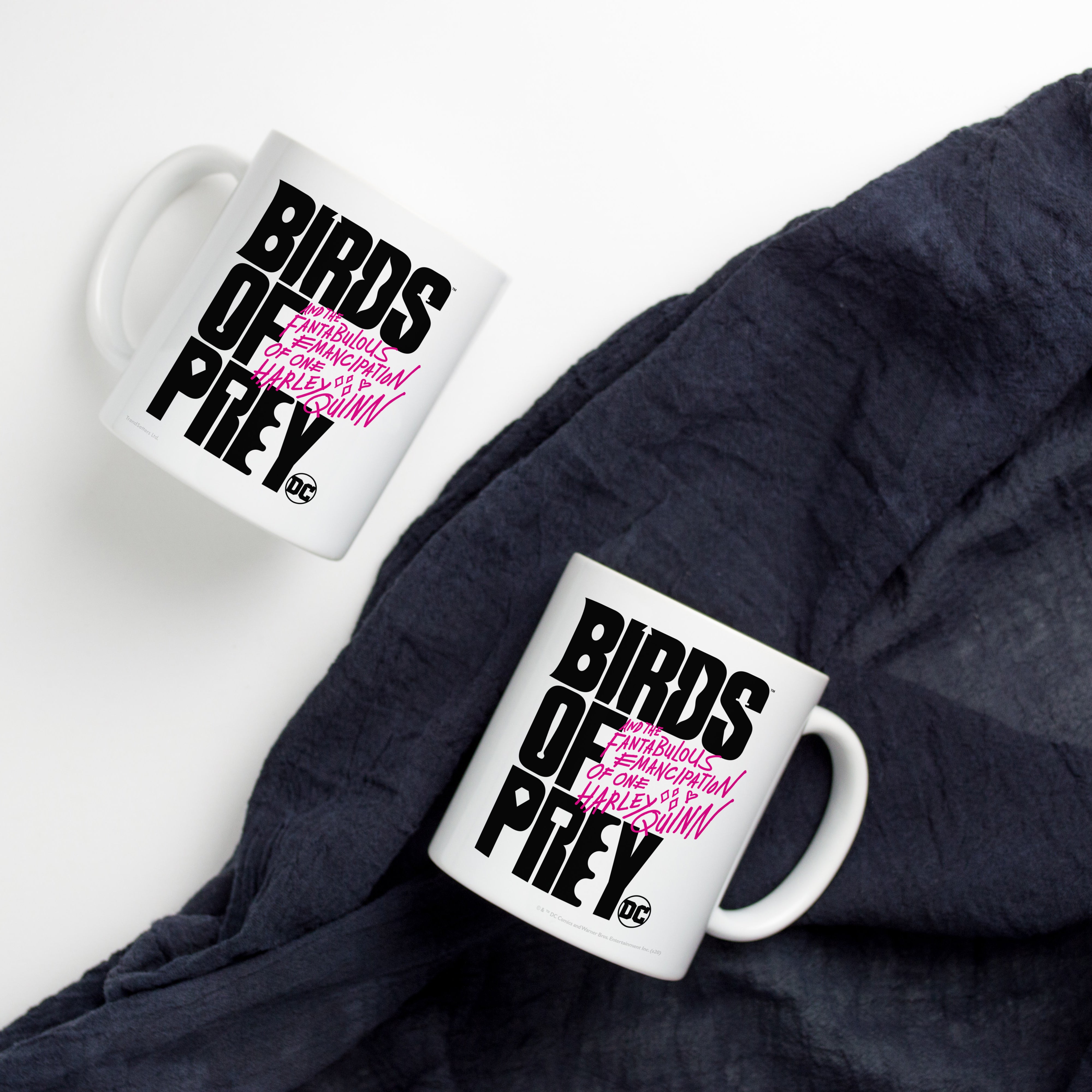 Birds Of Prey (Birds of Prey) 11 oz Ceramic Mug WMUG1073