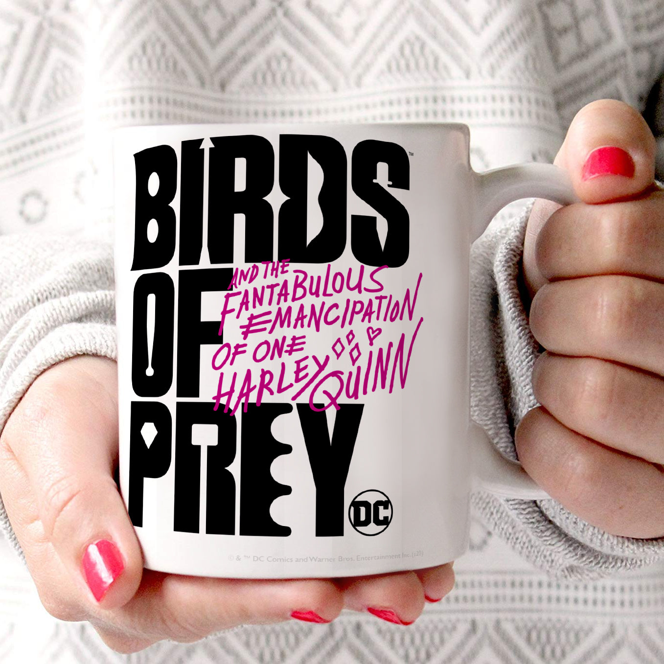 Birds Of Prey (Birds of Prey) 11 oz Ceramic Mug WMUG1073