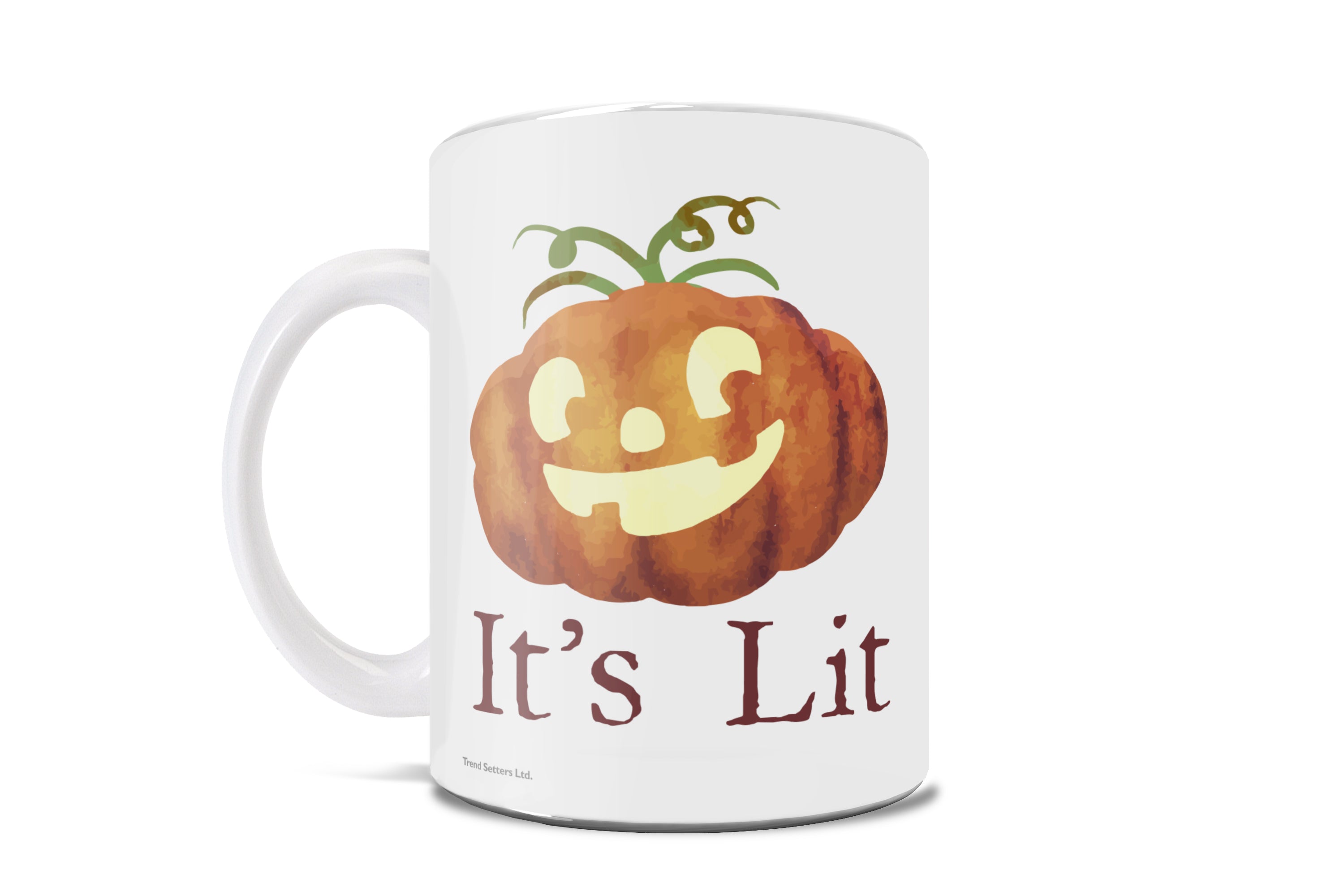 Halloween Collection (Halloween - Its Lit) 11 oz Ceramic Mug WMUG1173