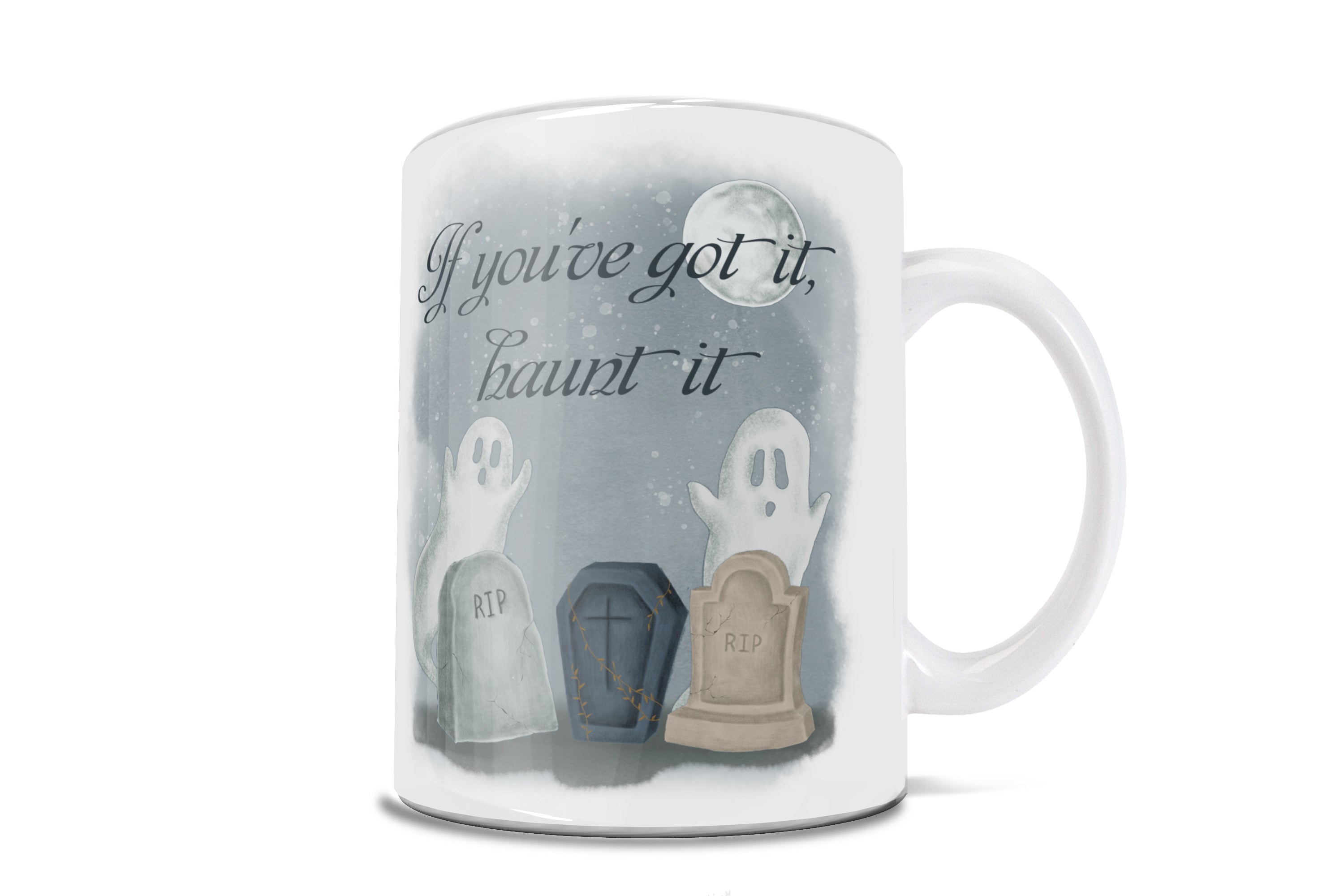 Halloween Collection (Halloween - If Youve Got It, Haunt It) 11 oz Ceramic Mug WMUG1174