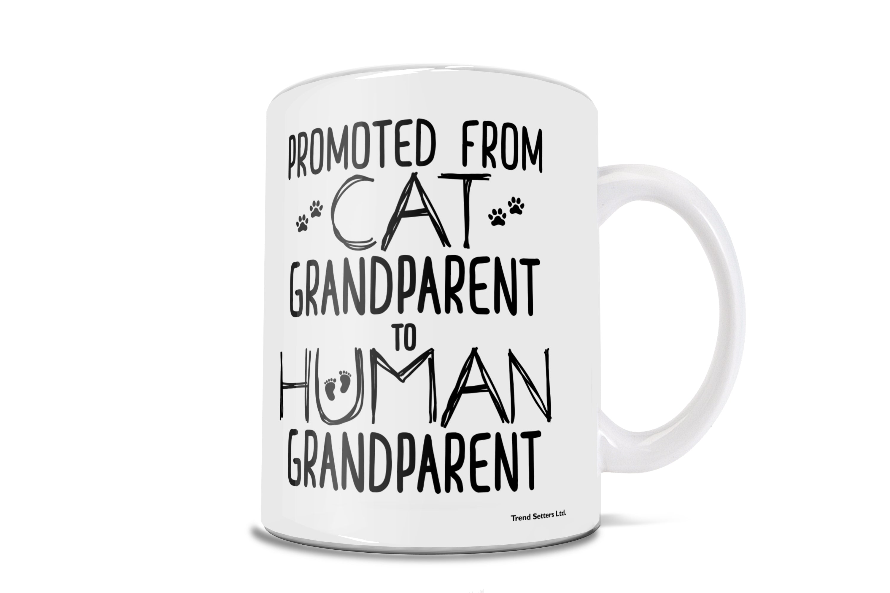 Parent Collection (Cat Grandparent Promotion) 11 oz Ceramic Mug WMUG1194