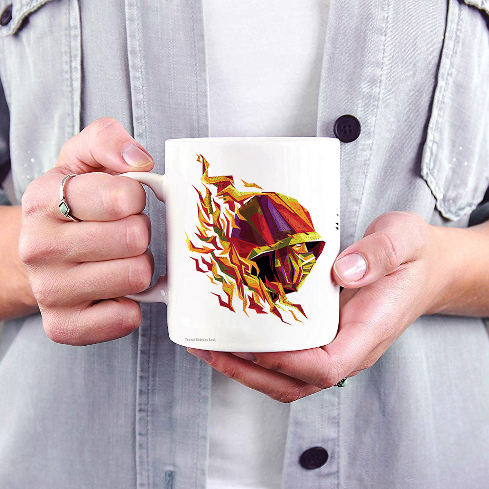 Mortal Kombat (Flawless Victory) 11 oz Ceramic Mug WMUG1235