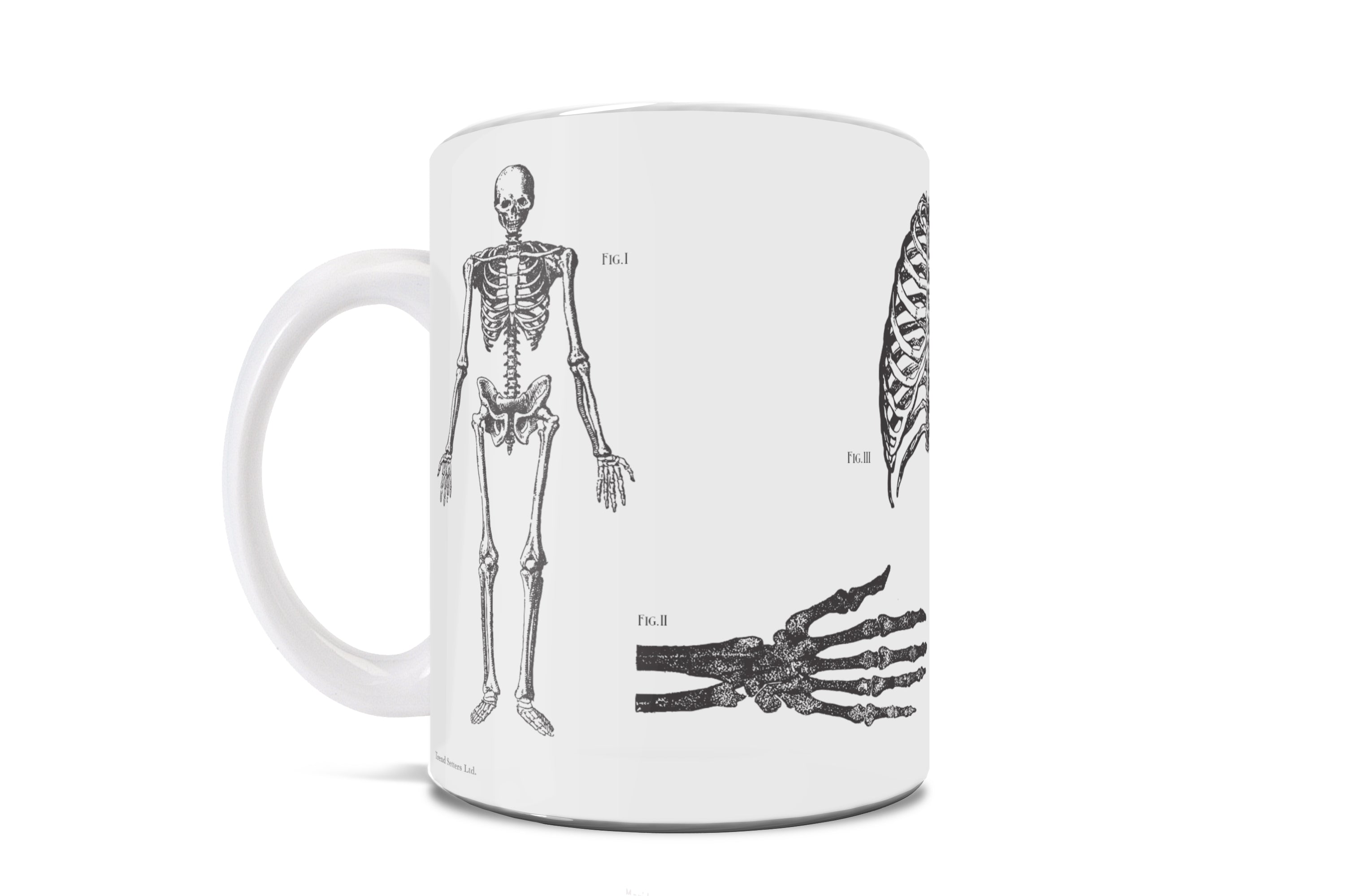 Halloween Collection (Skeleton Anatomy) 11 oz Ceramic Mug WMUG1365