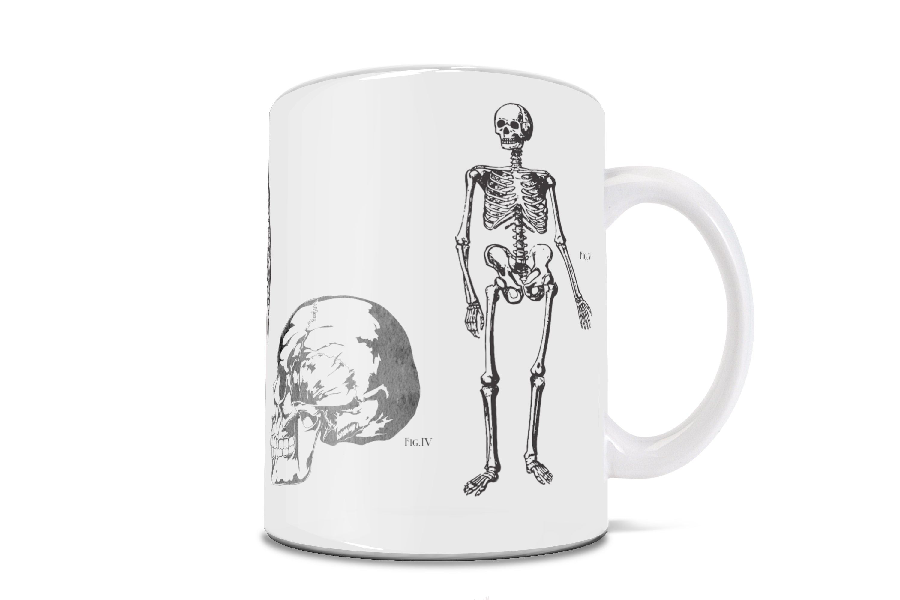 Halloween Collection (Skeleton Anatomy) 11 oz Ceramic Mug WMUG1365