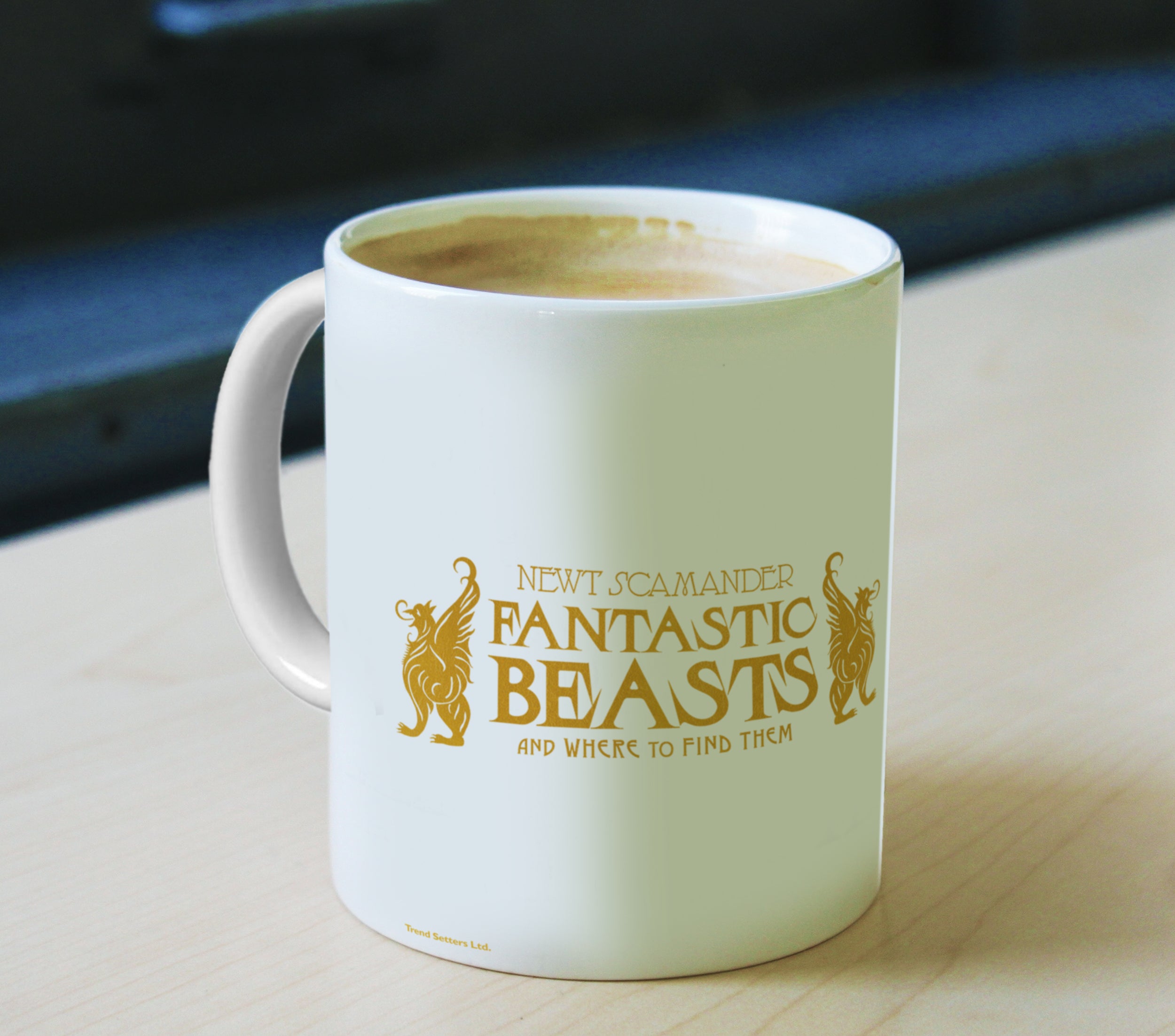 Fantastic Beasts: The Crimes of Grindelwald (Fantastic Book) 11 oz Ceramic Mug WMUG851
