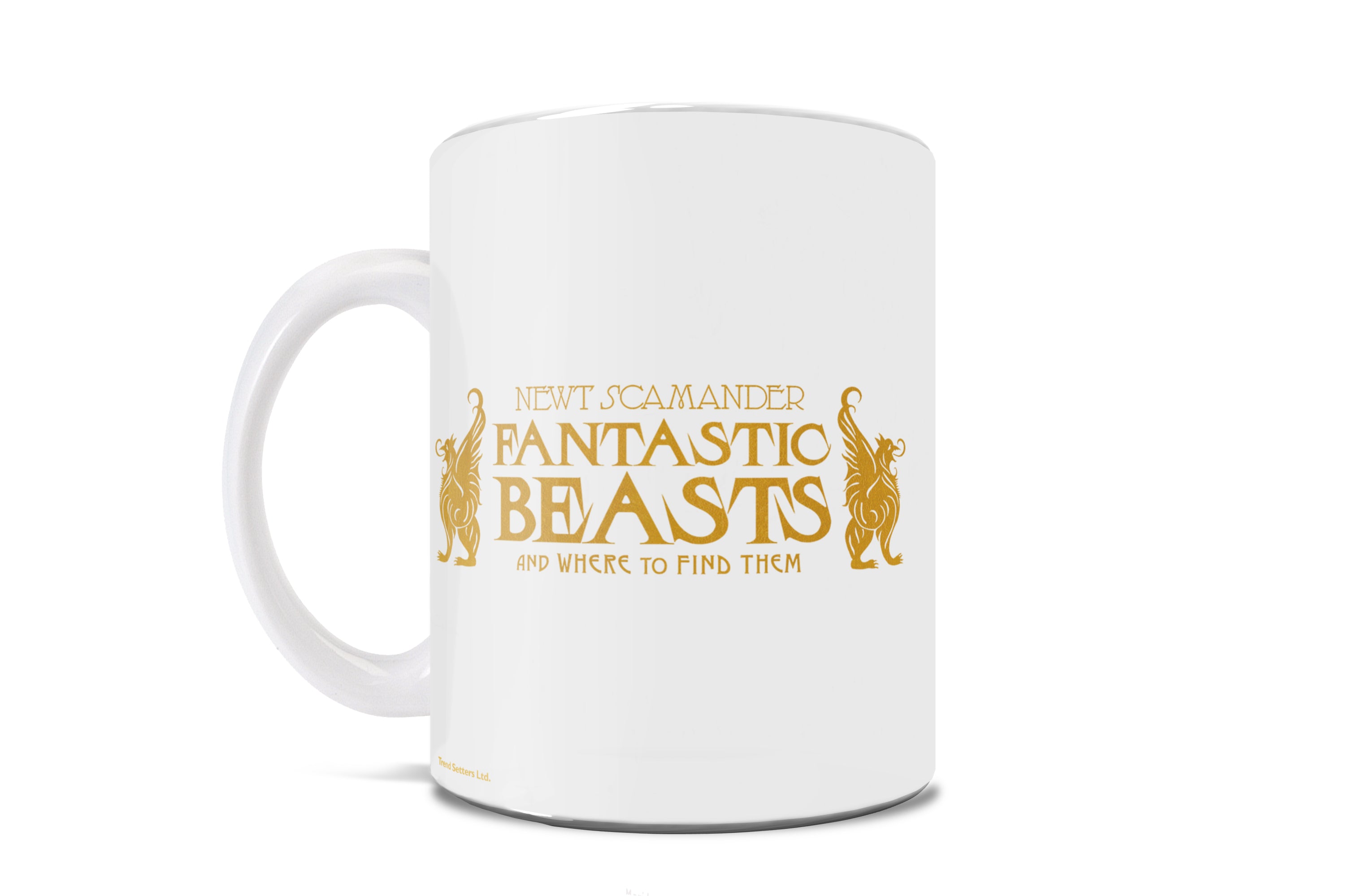Fantastic Beasts: The Crimes of Grindelwald (Fantastic Book) 11 oz Ceramic Mug WMUG851