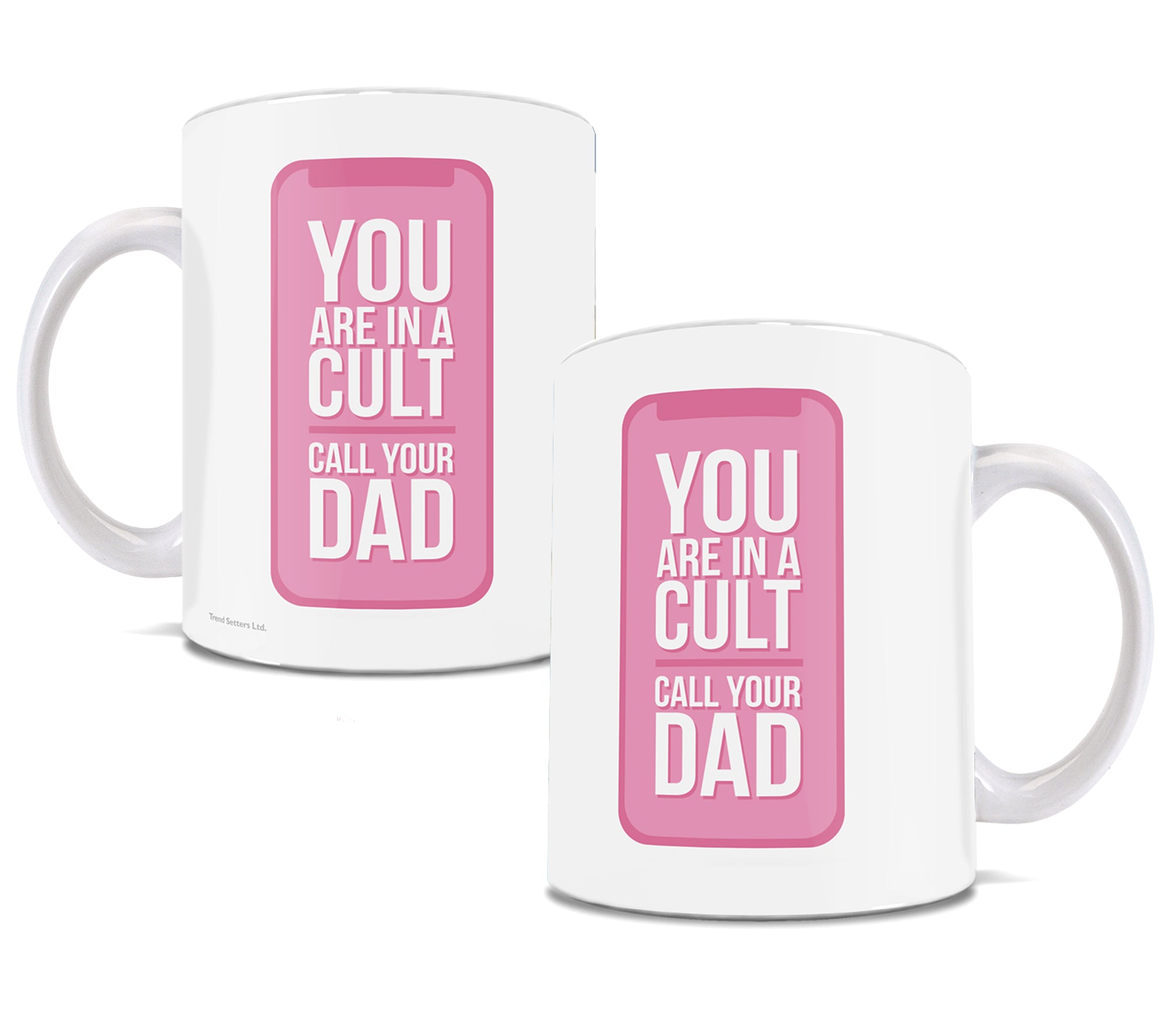 True Crime Collection (You Are In A Cult) 11 oz Ceramic Mug WMUG879