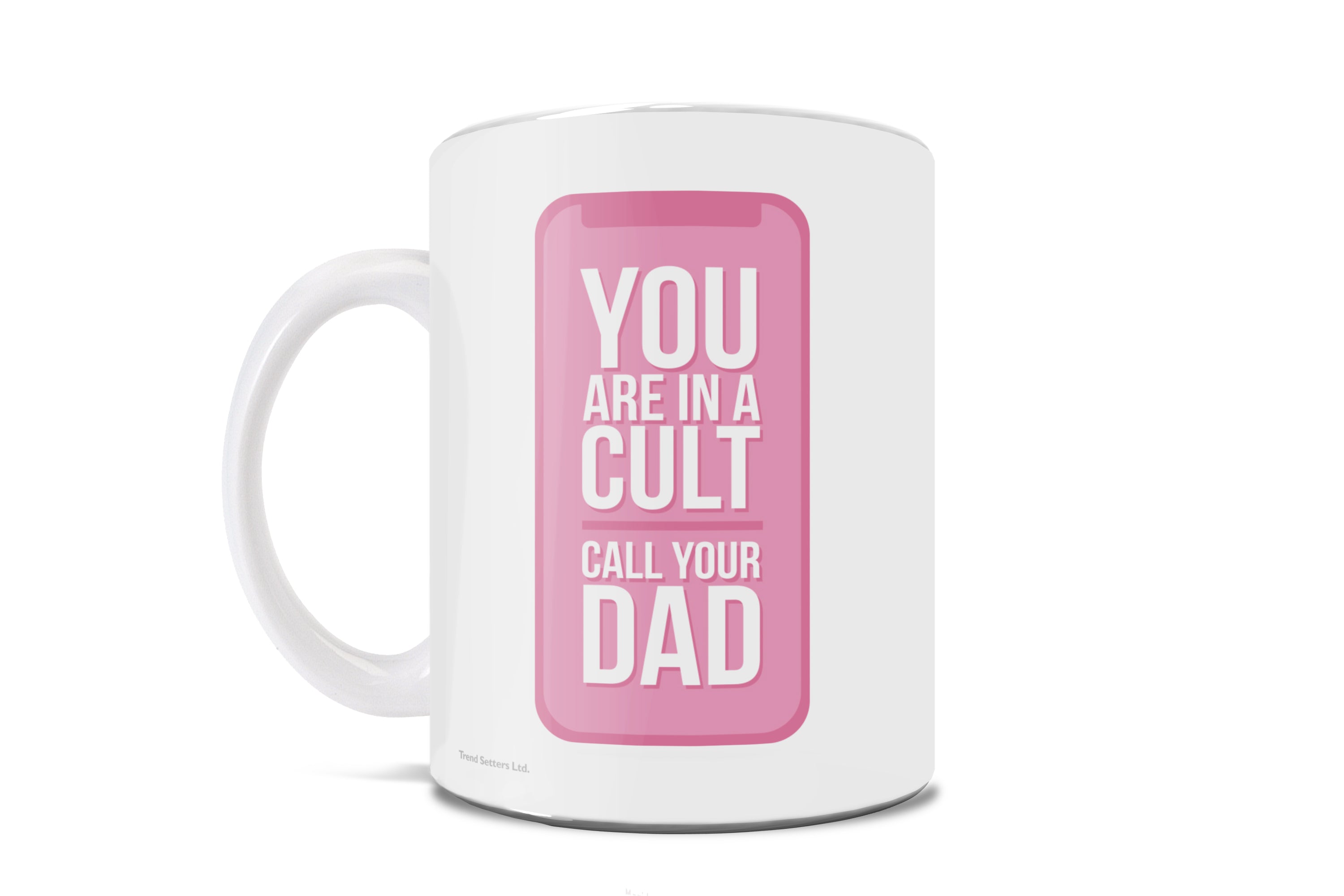 True Crime Collection (You Are In A Cult) 11 oz Ceramic Mug WMUG879