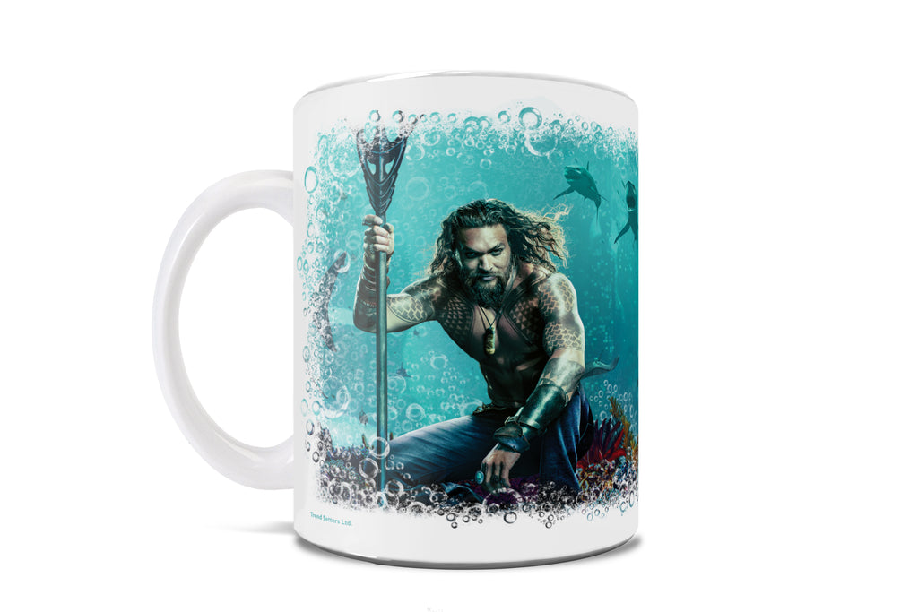 Aquaman (Home Is Calling) 11 oz Ceramic Mug WMUG893