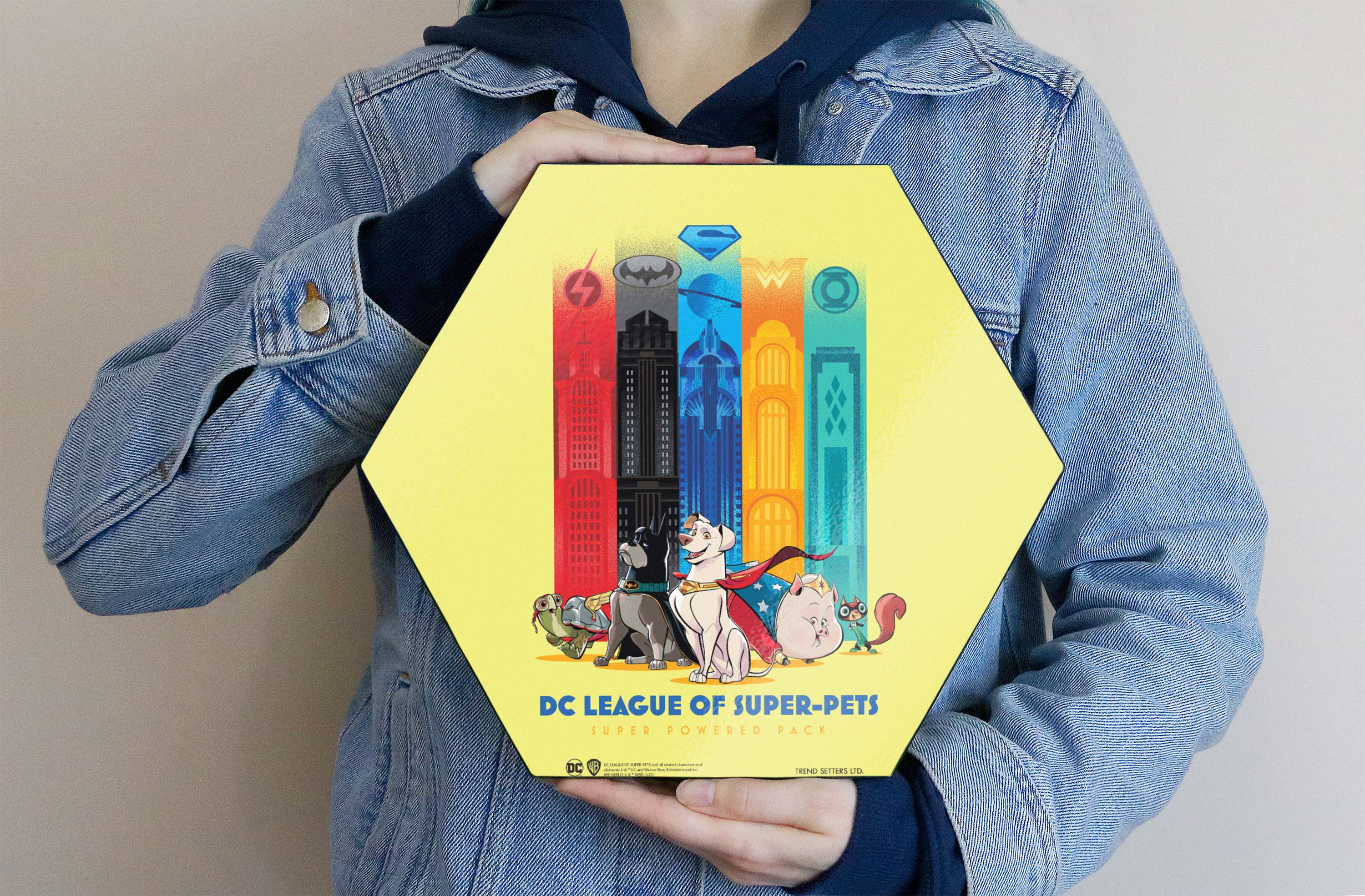 DC League of Super-Pets (DC League of Super Pets) KNEXAGON® Wood Print WPHEX0119