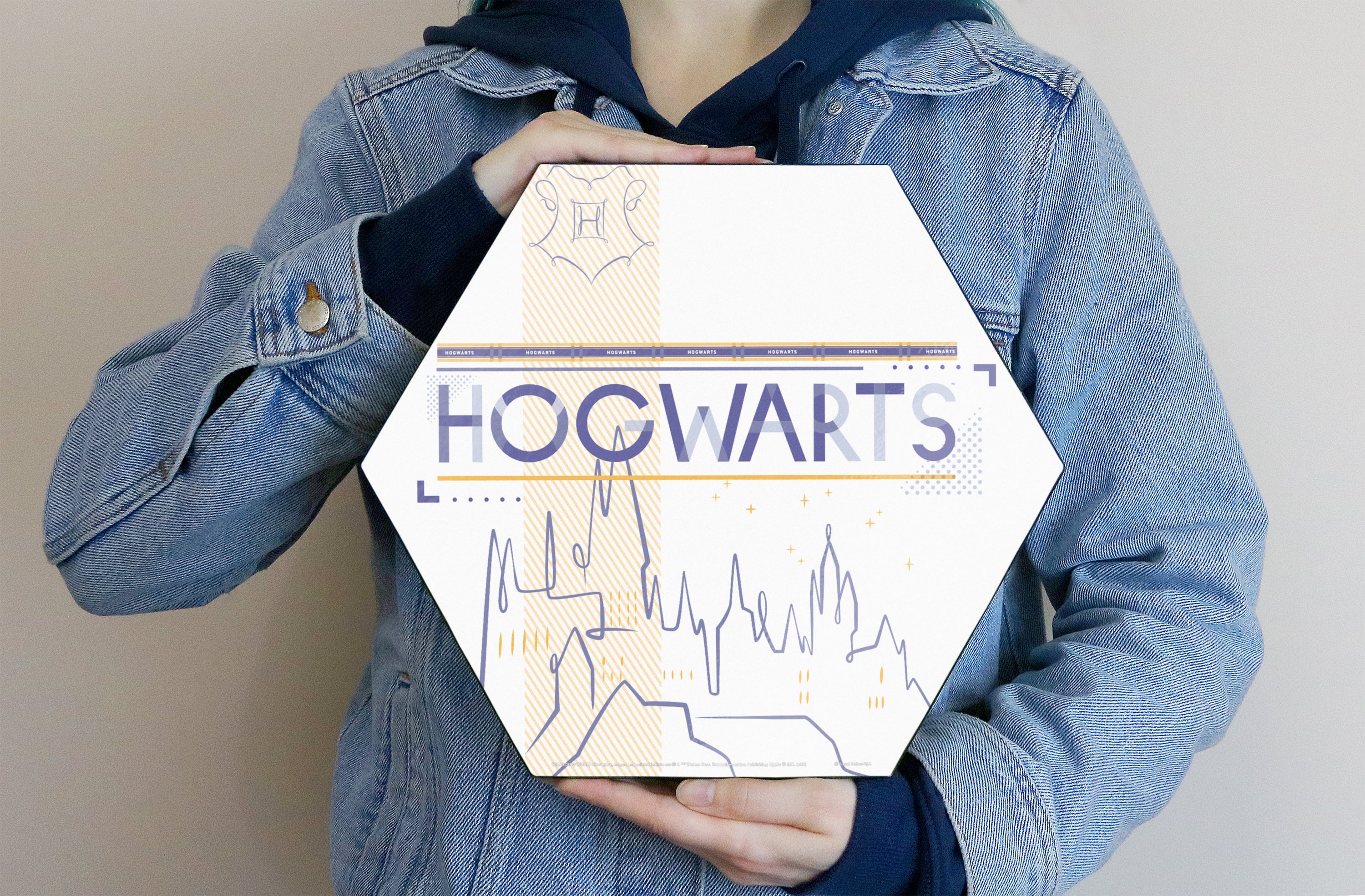 Harry Potter (Hogwarts Shield) KNEXAGON® Wood Print WPHEX0142HPSH