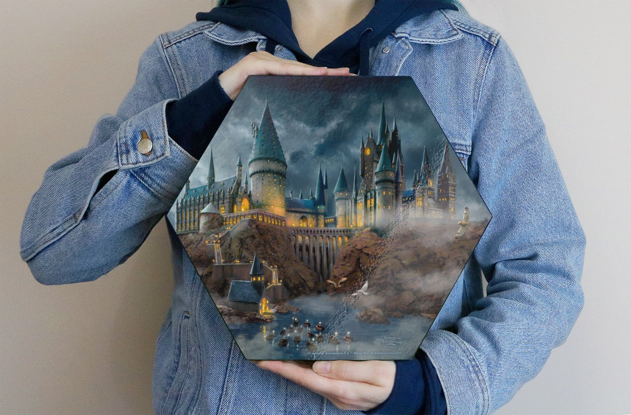 Harry Potter™ Thomas Kinkade Studios (Hogwarts Castle) KNEXAGON® Wall Art WPHEX0172
