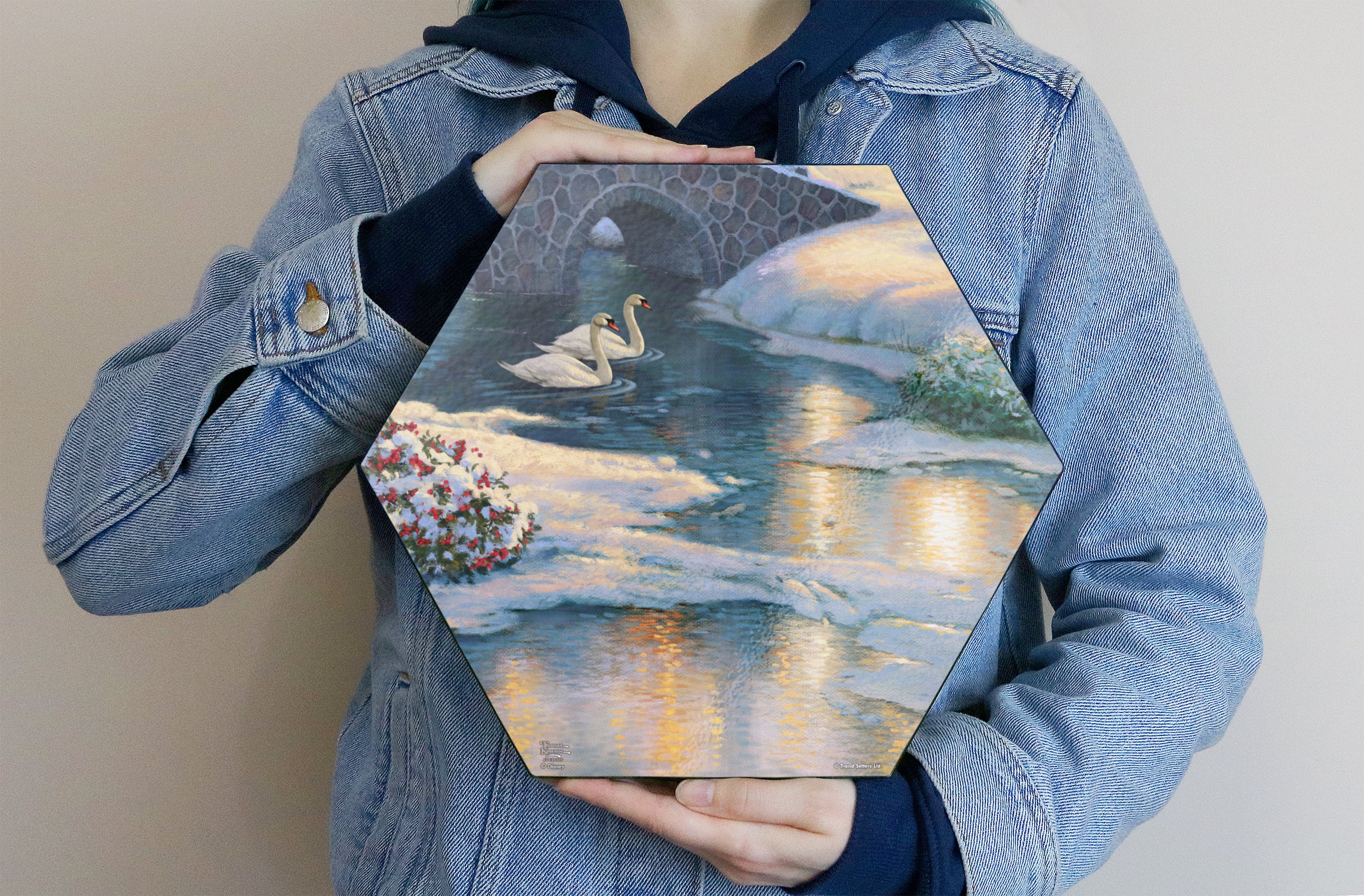 Disney (Beauty and the Beasts Winter Enchantment - Swans) KNEXAGON® Wood Print WPHEX0226