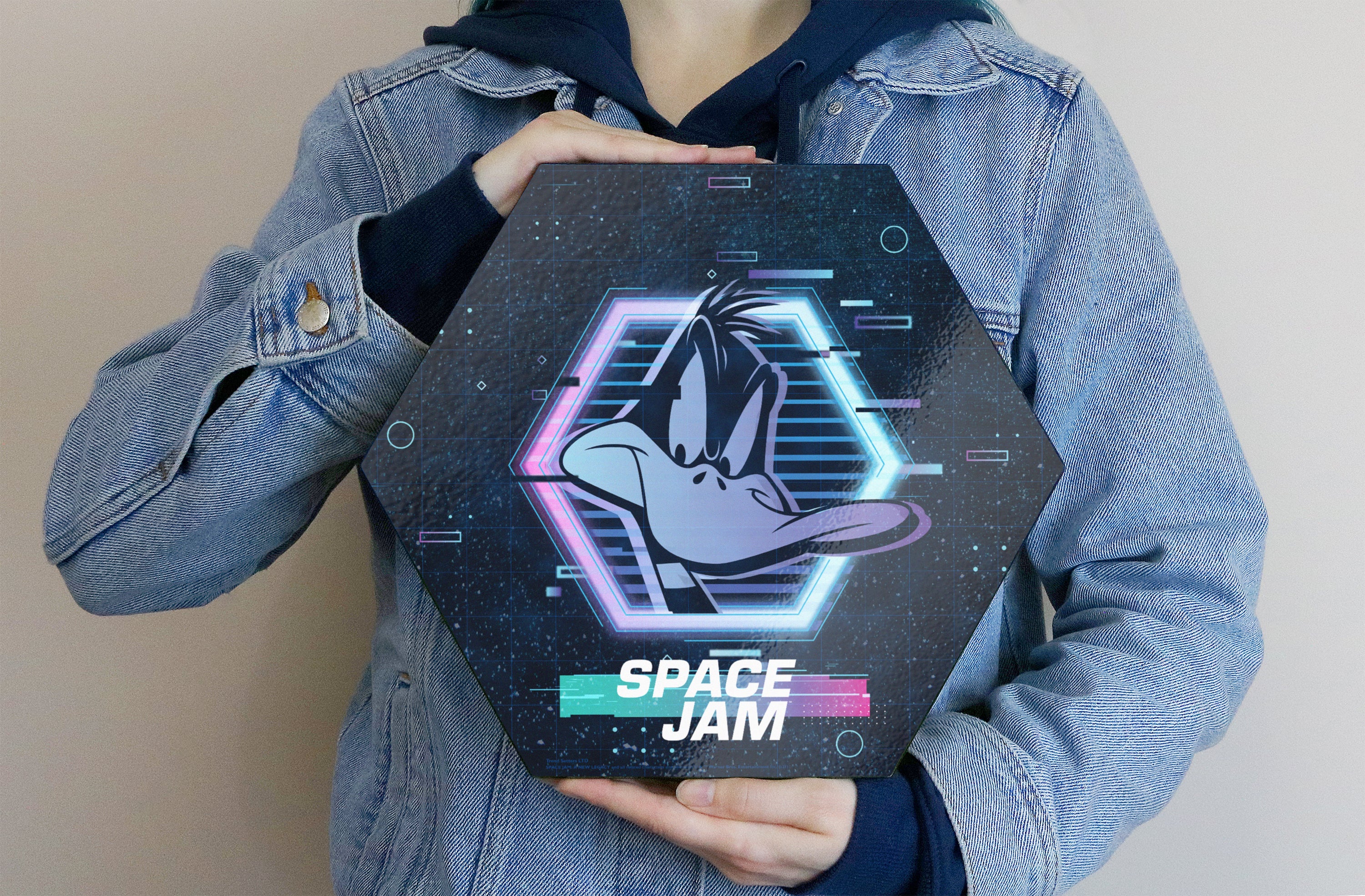 Space Jam: A New Legacy (Tune Squad- Daffy Duck) KNEXAGON® Wood Print WPHEX0486SJTS