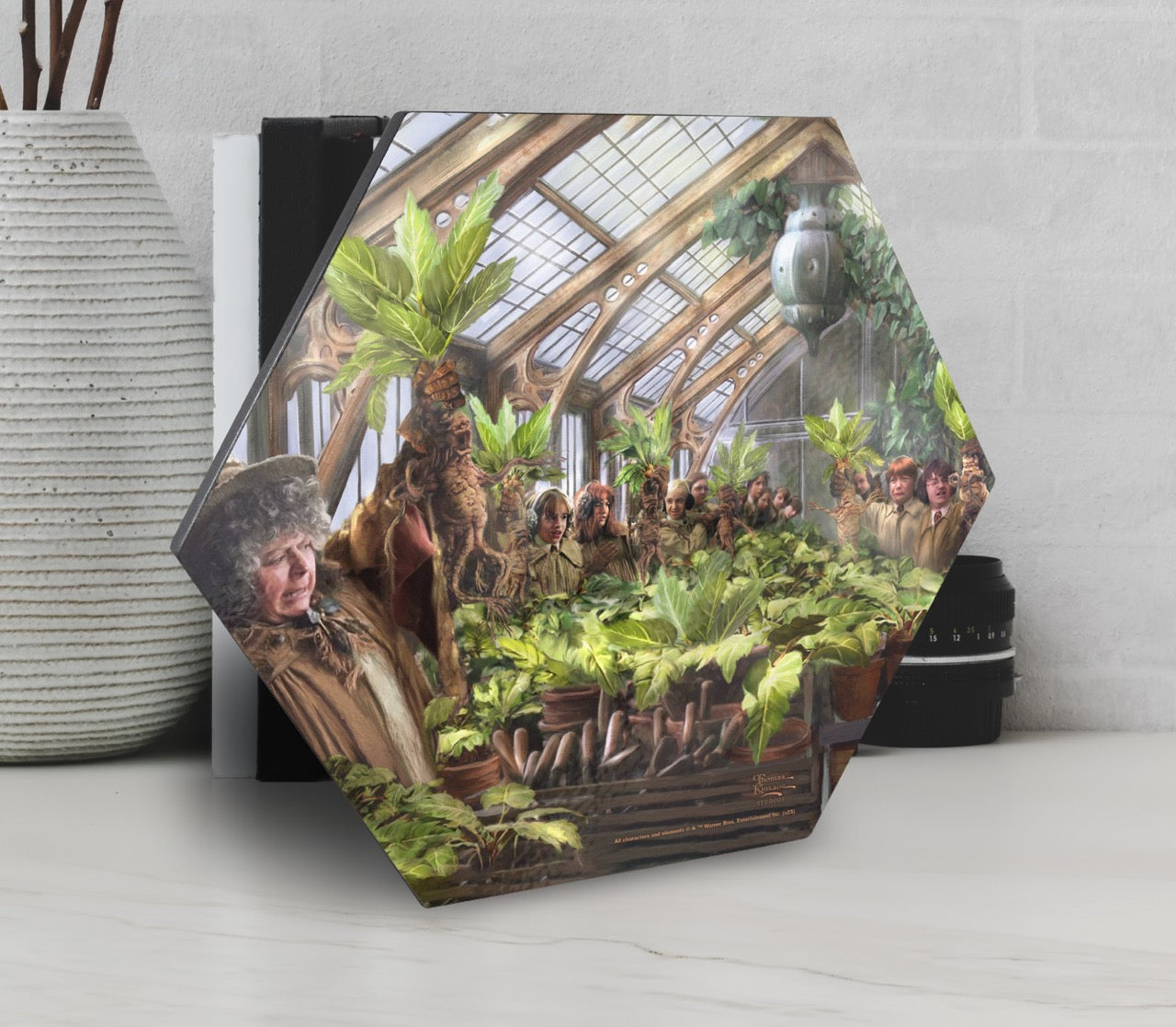 Harry Potter Thomas Kinkade Studios (Herbology Class) KNEXAGON™ Wood Print WPHEX0792
