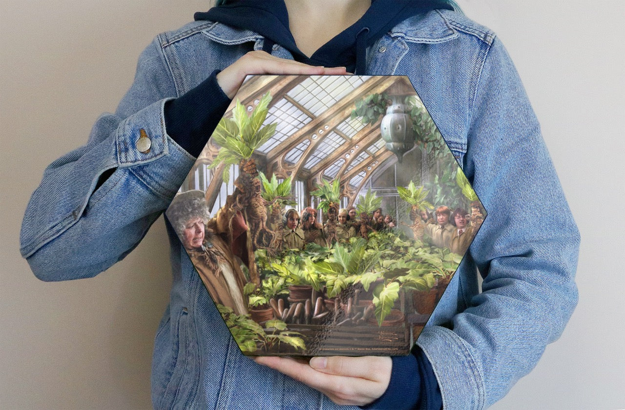 Harry Potter Thomas Kinkade Studios (Herbology Class) KNEXAGON™ Wood Print WPHEX0792