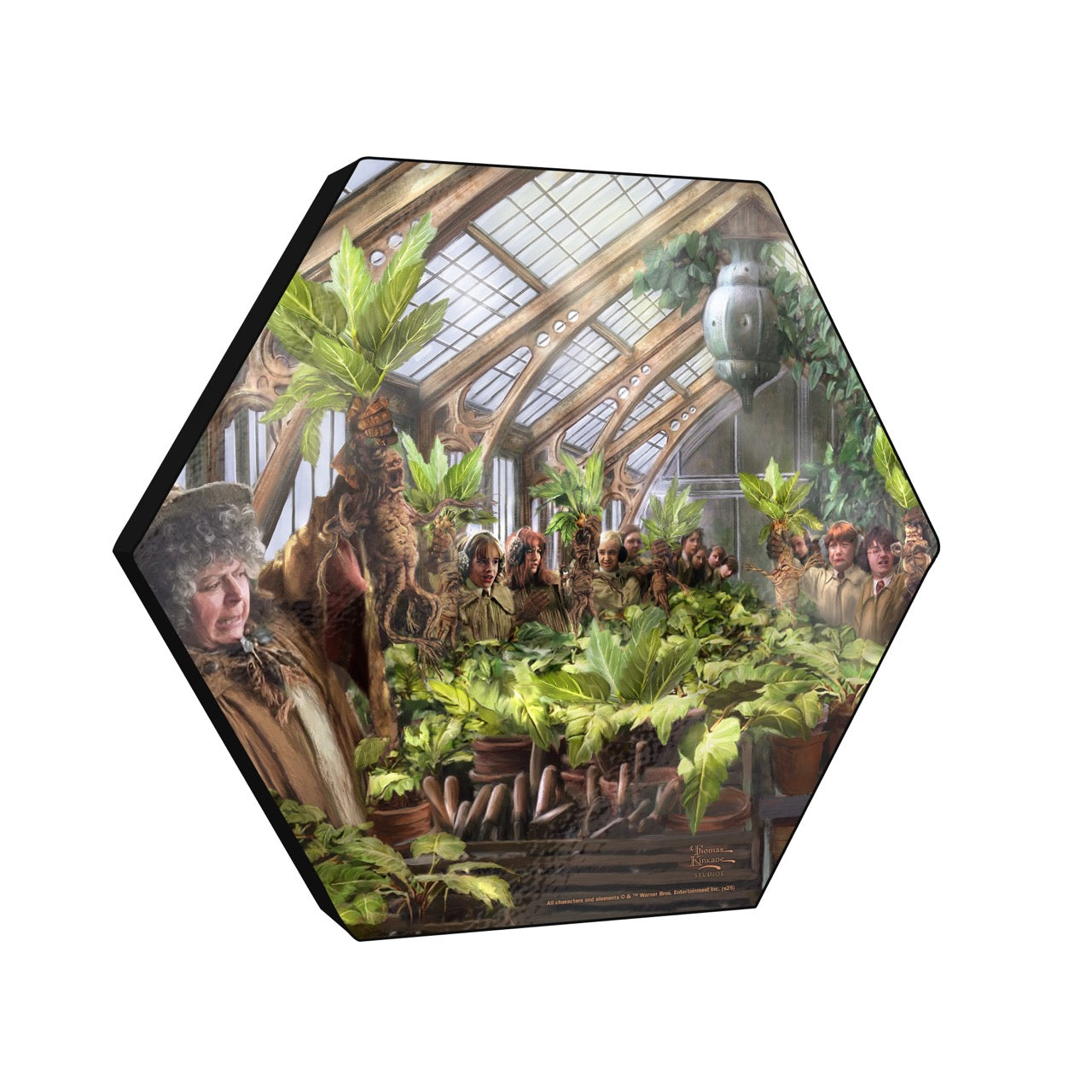 Harry Potter Thomas Kinkade Studios (Herbology Class) KNEXAGON™ Wood Print WPHEX0792