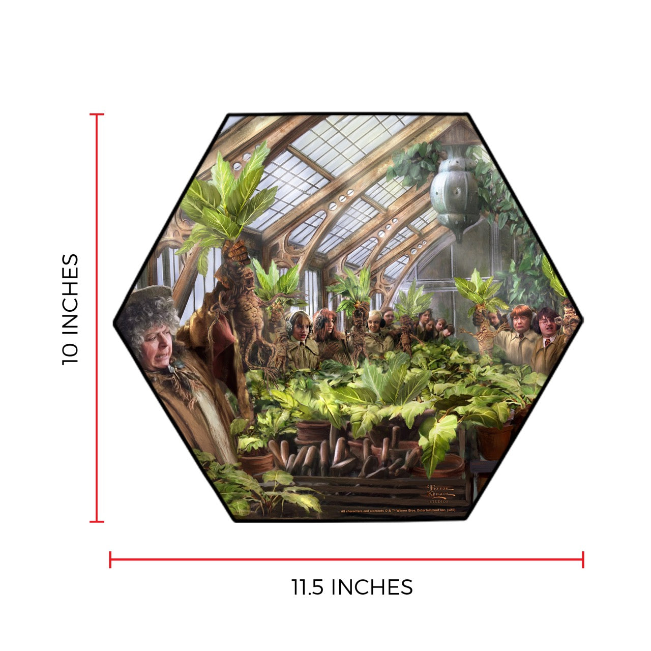 Harry Potter Thomas Kinkade Studios (Herbology Class) KNEXAGON™ Wood Print WPHEX0792