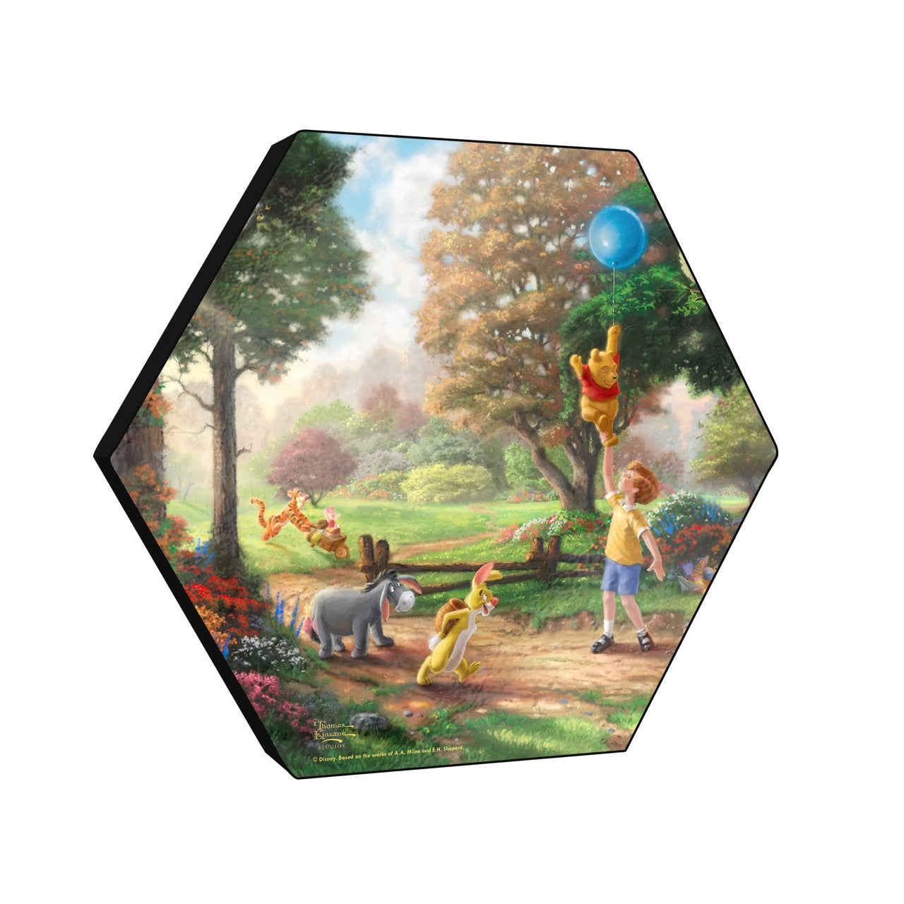 Disney (Pooh’s Balloon Adventure) KNEXAGON™ Wood Print WPHEX1134