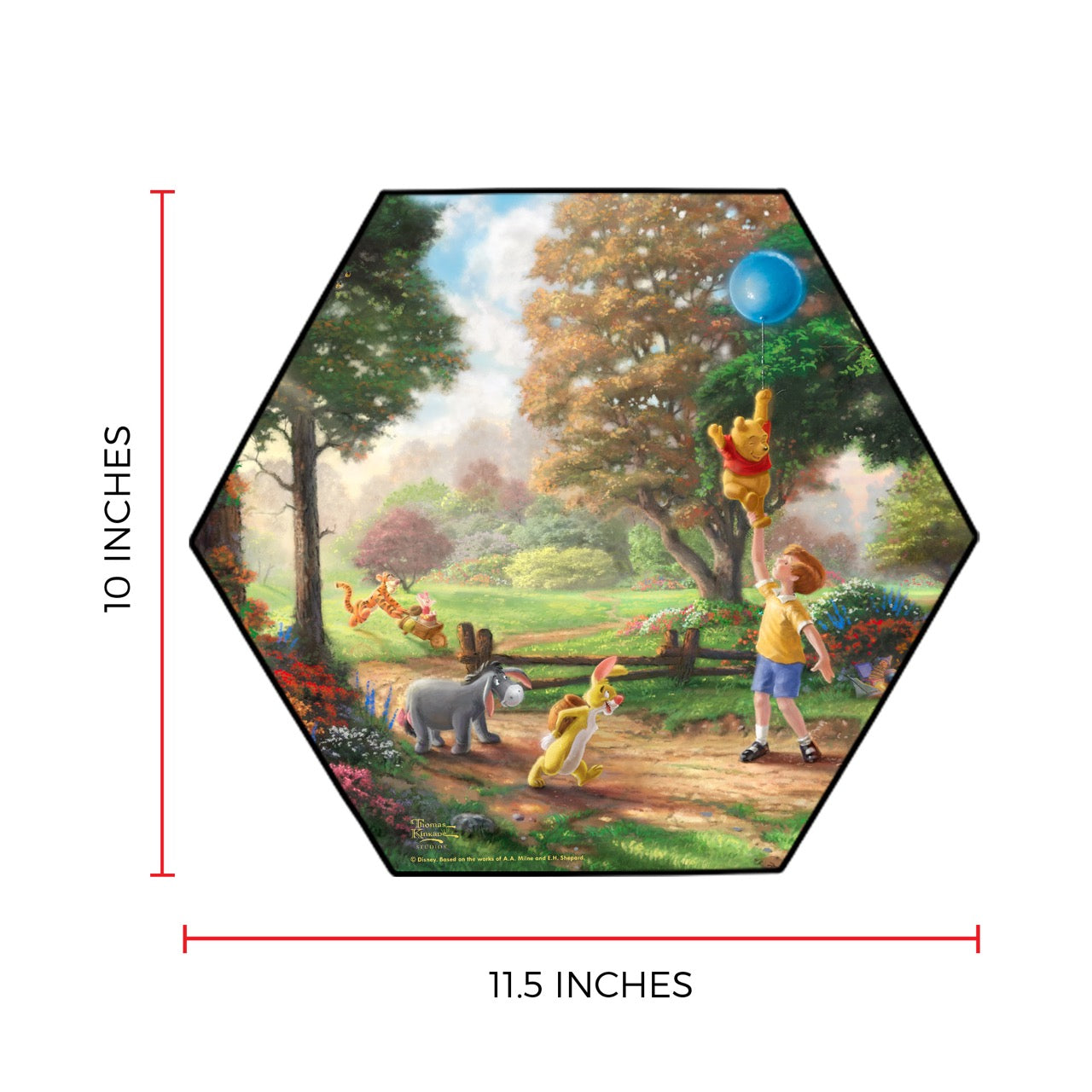 Disney (Pooh’s Balloon Adventure) KNEXAGON™ Wood Print WPHEX1134