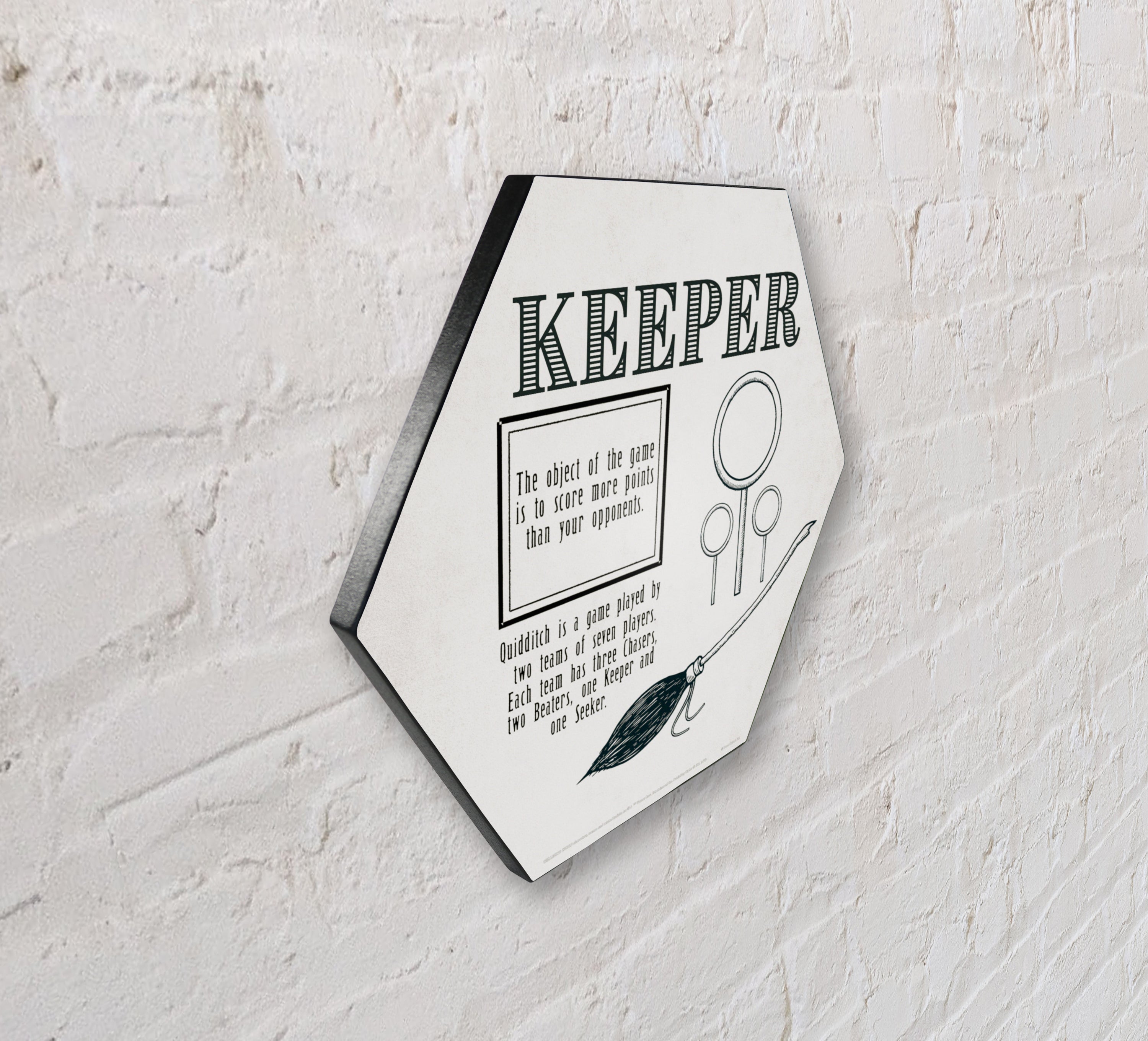 Harry Potter (Quidditch - Keeper) KNEXAGON® Wood Print WPHEX1458HPQU