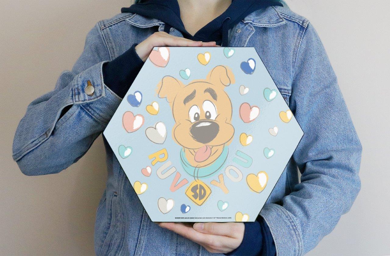 Scooby-Doo (Ruv You) KNEXAGON® Wood Print WPHEX1622