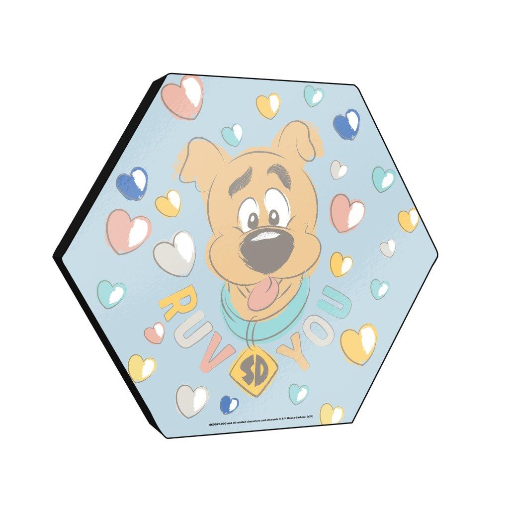 Scooby-Doo (Ruv You) KNEXAGON® Wood Print WPHEX1622