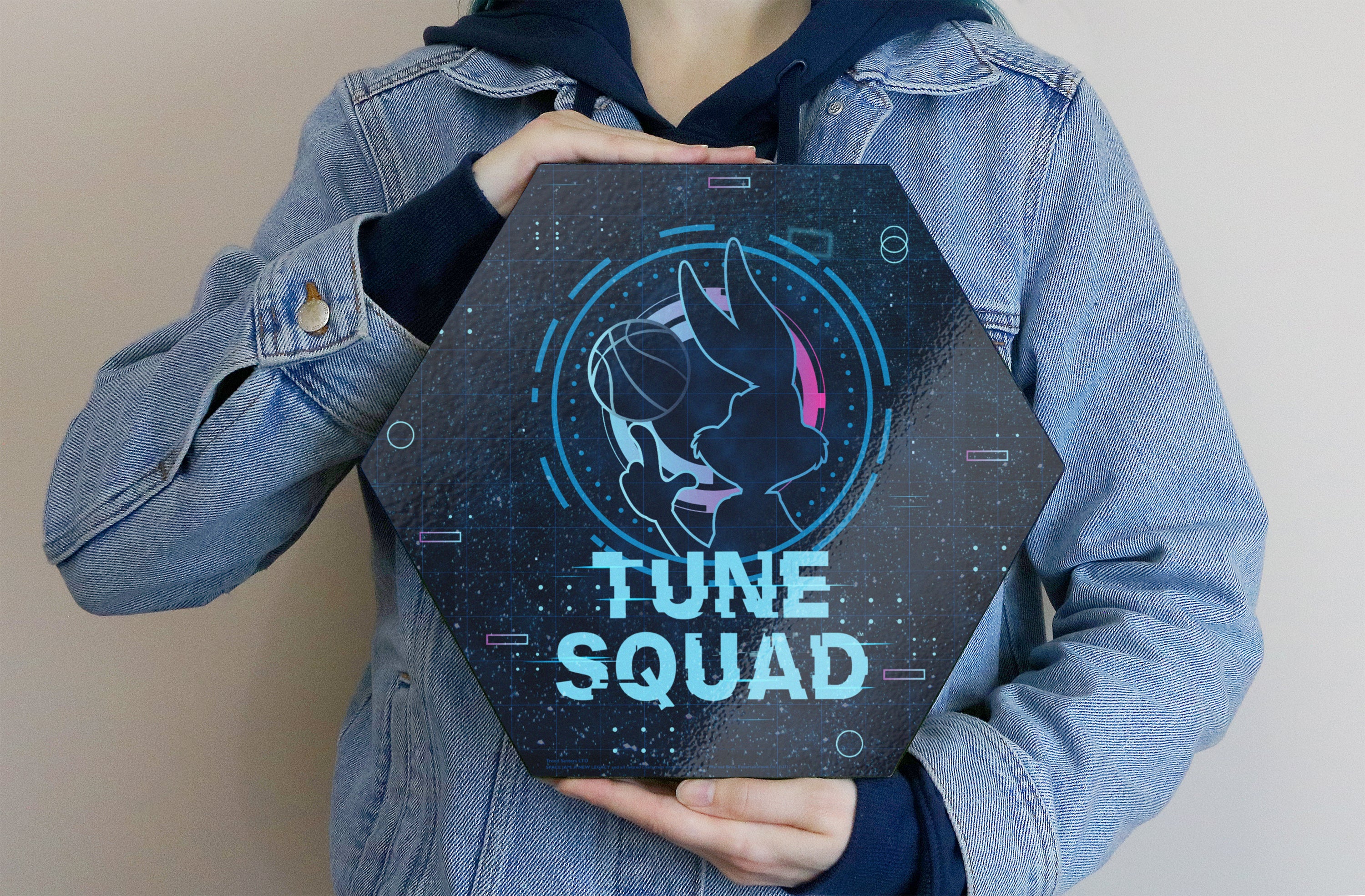 Space Jam: A New Legacy (Tune Squad) KNEXAGON® Wood Print WPHEX1758SJTS