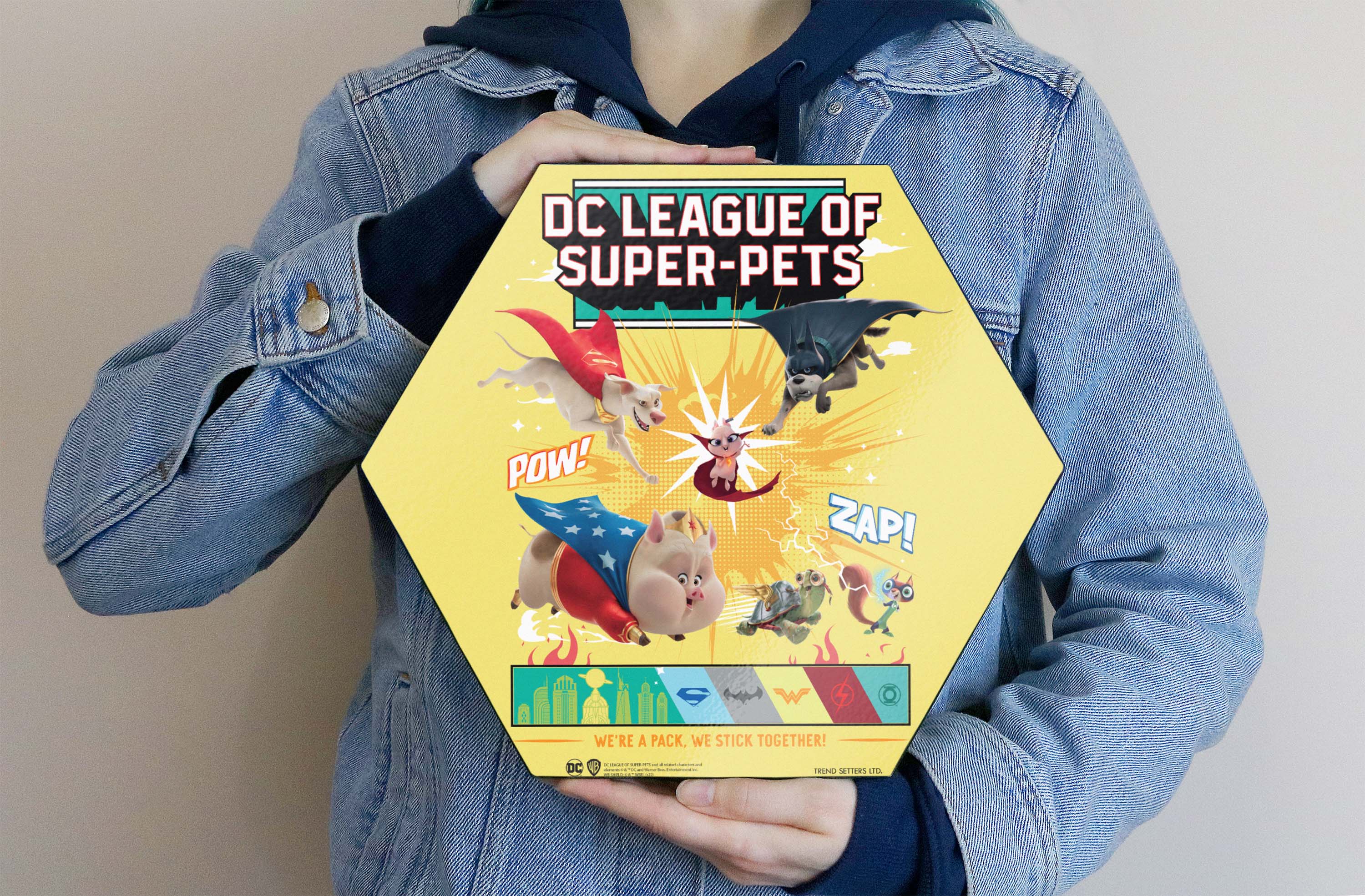 DC League of Super-Pets (We Stick Together) KNEXAGON® Wood Print WPHEX1808