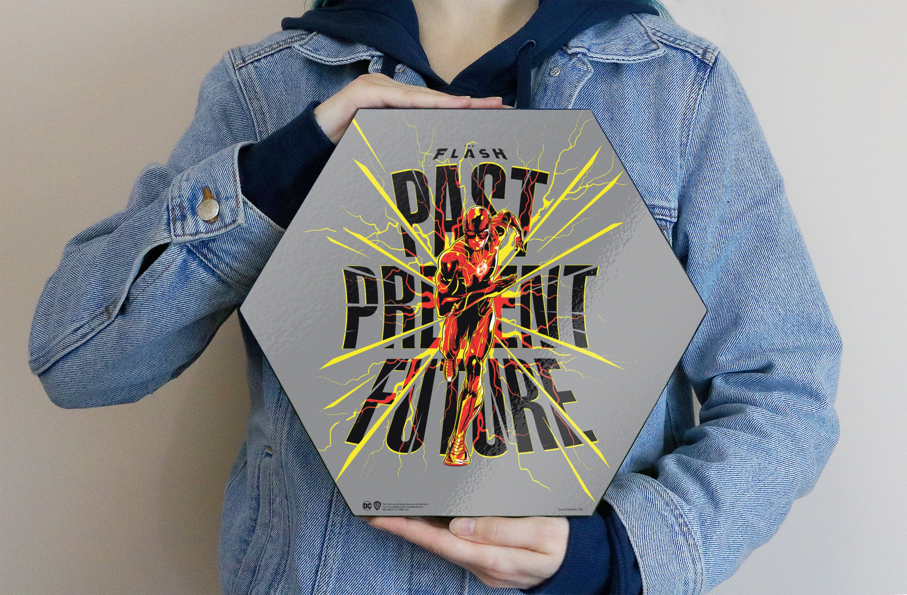 The Flash (Past Present Future) KNEXAGON® Wood Print WPHEX1890