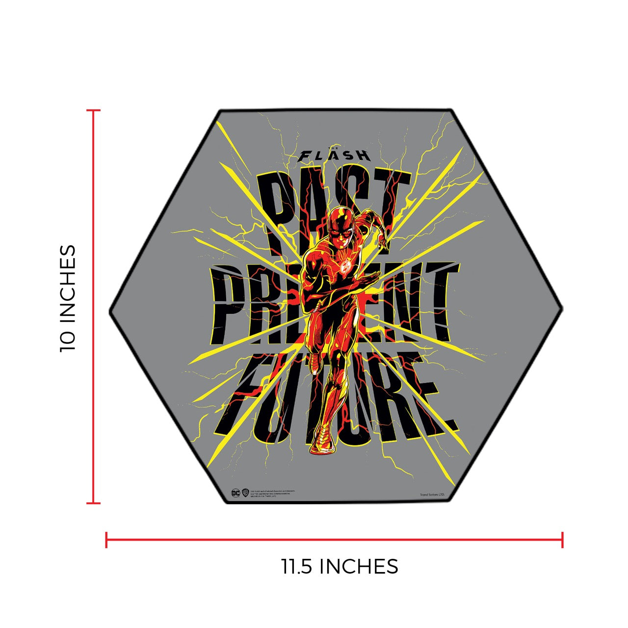 The Flash (Past Present Future) KNEXAGON® Wood Print WPHEX1890