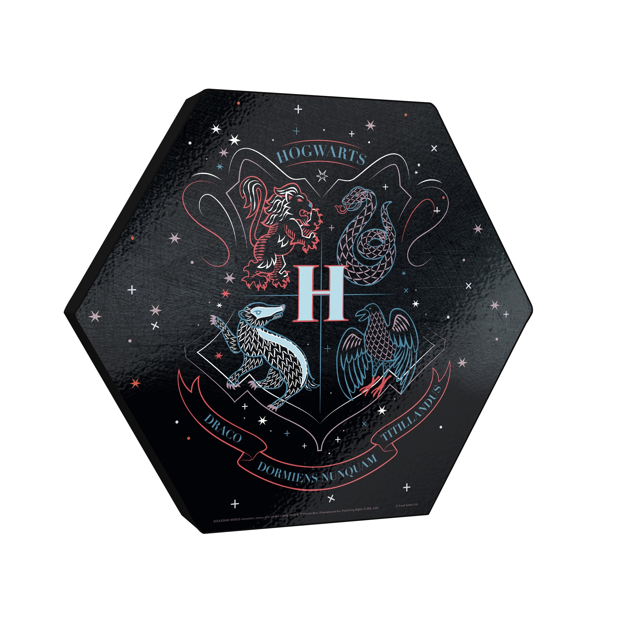 Harry Potter (Hogwarts - Artifact Constellation) KNEXAGON® Wood Print WPHEX1986HPAR