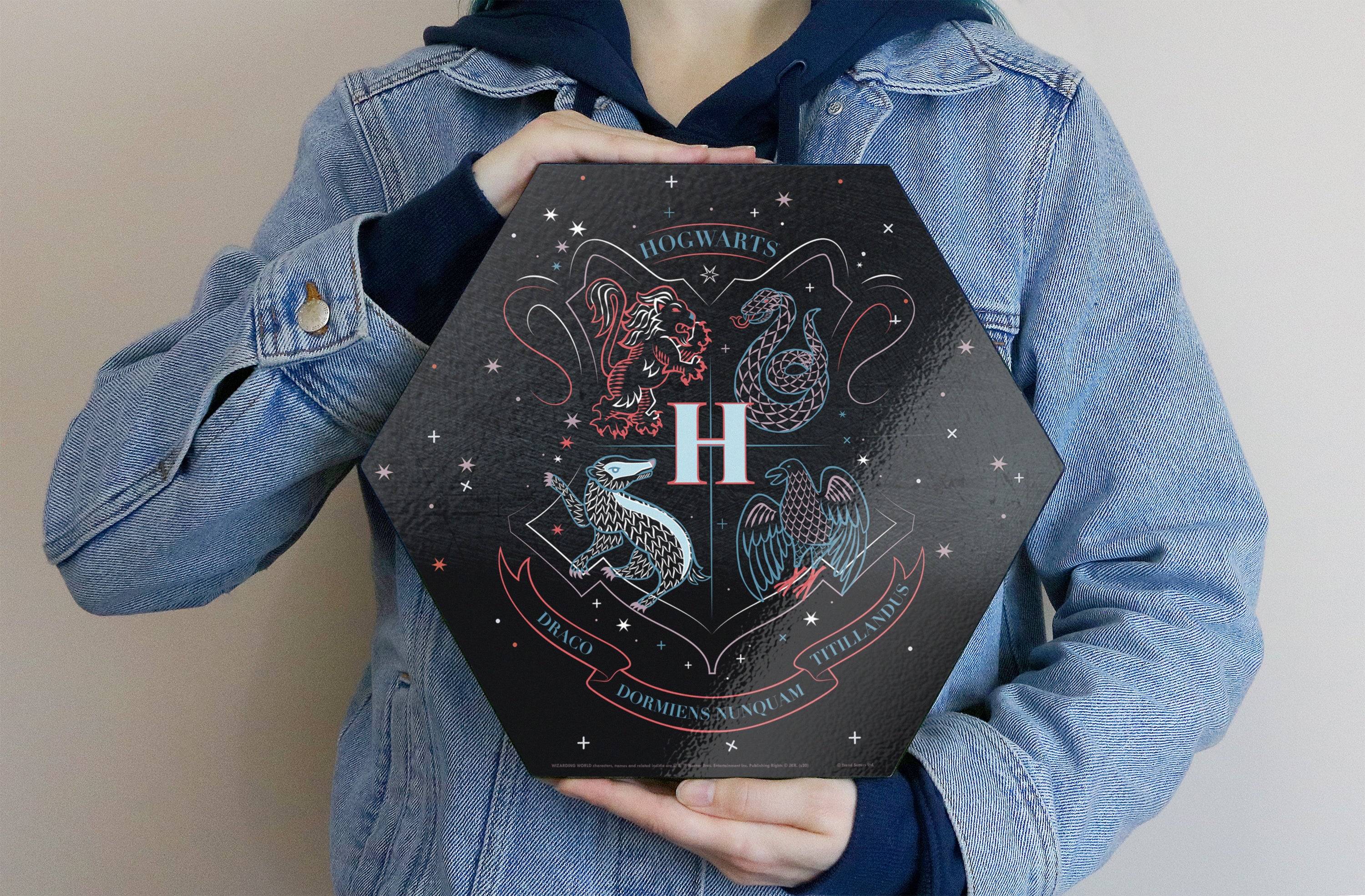 Harry Potter (Hogwarts - Artifact Constellation) KNEXAGON® Wood Print WPHEX1986HPAR