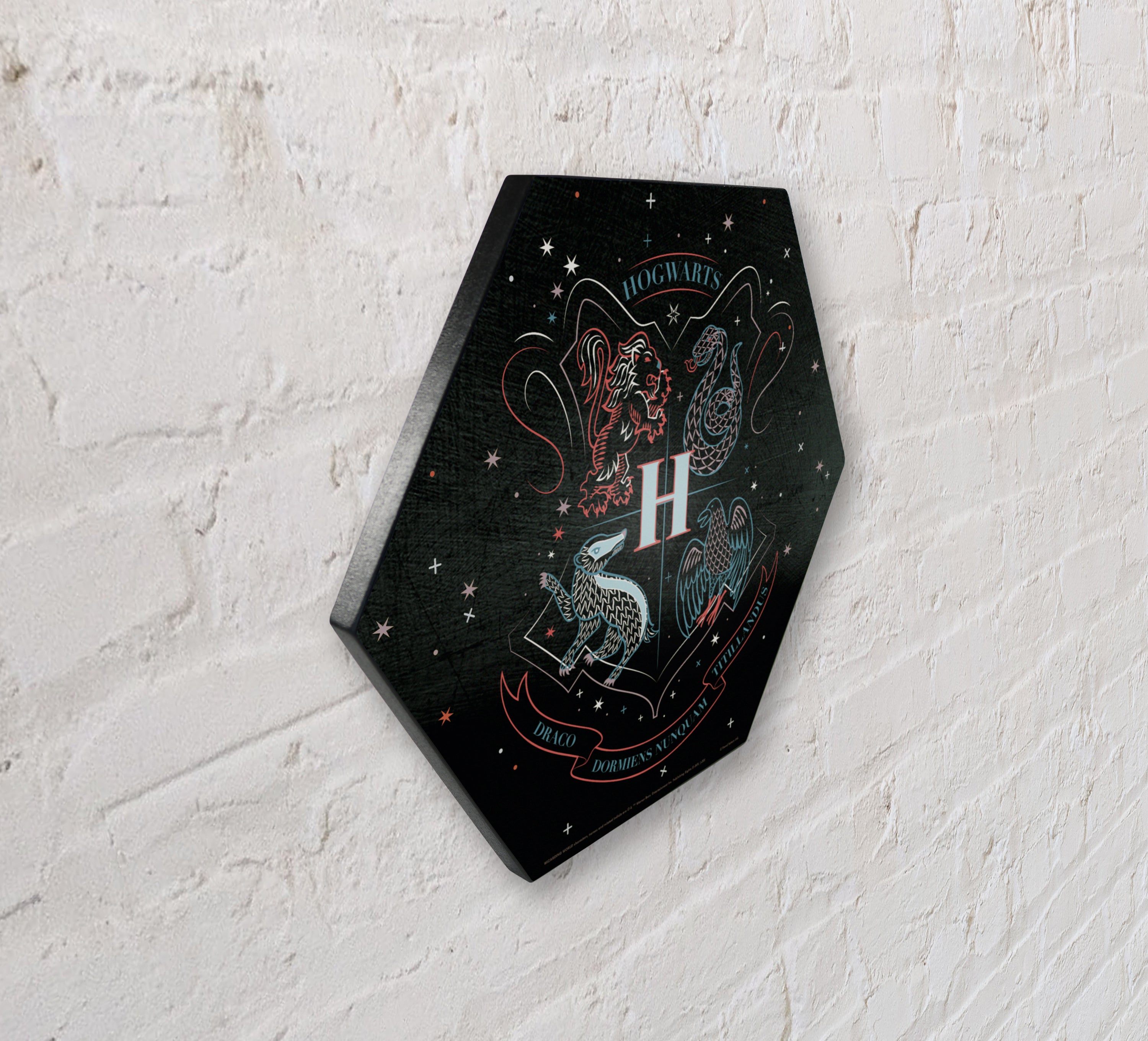 Harry Potter (Hogwarts - Artifact Constellation) KNEXAGON® Wood Print WPHEX1986HPAR