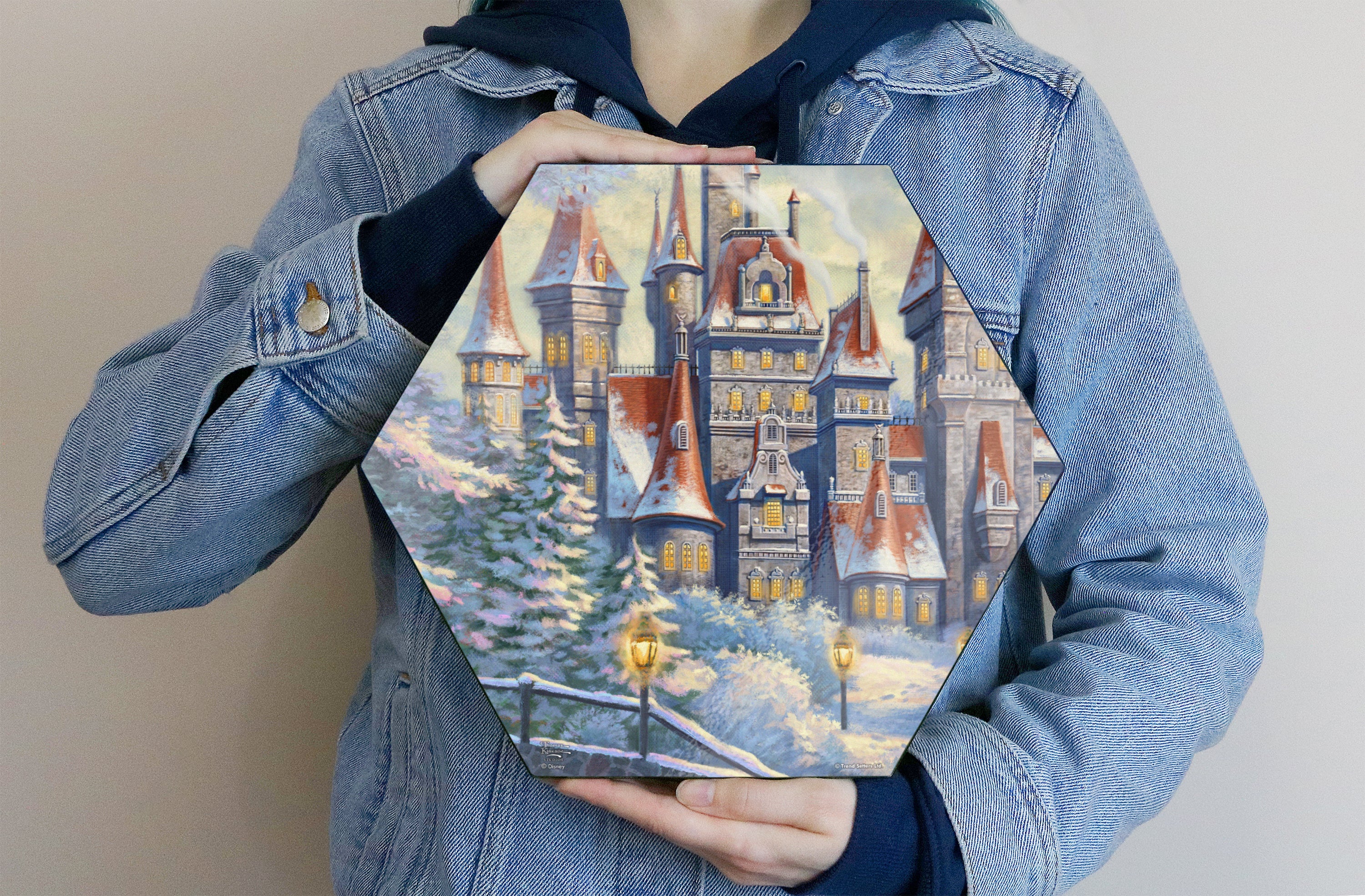 Disney (Beauty and the Beasts Winter Enchantment - Castle) KNEXAGON® Wood Print WPHEX2002