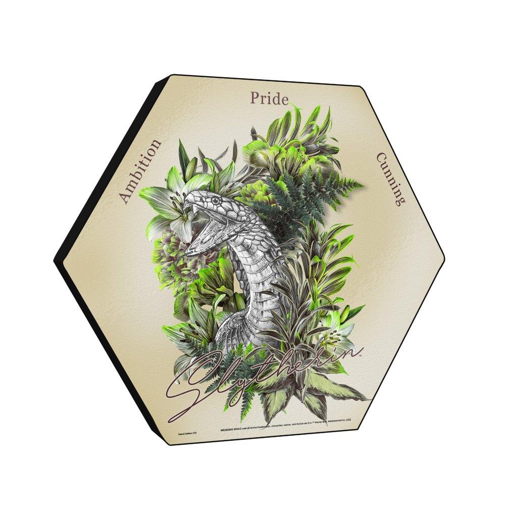 Harry Potter (Utilitarian Romance Slytherin) KNEXAGON® Wood Print WPHEX2069UTROM