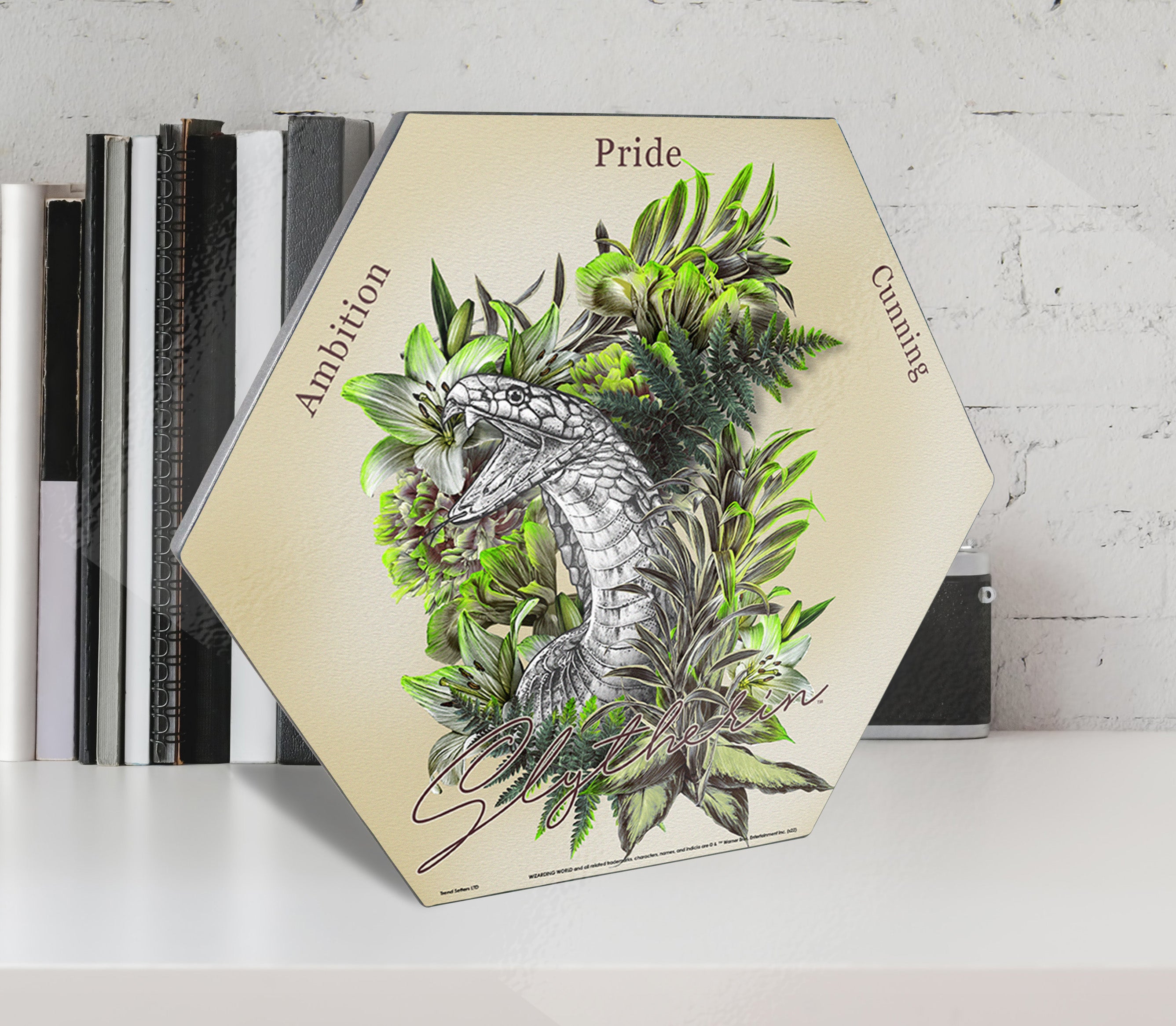 Harry Potter (Utilitarian Romance Slytherin) KNEXAGON® Wood Print WPHEX2069UTROM