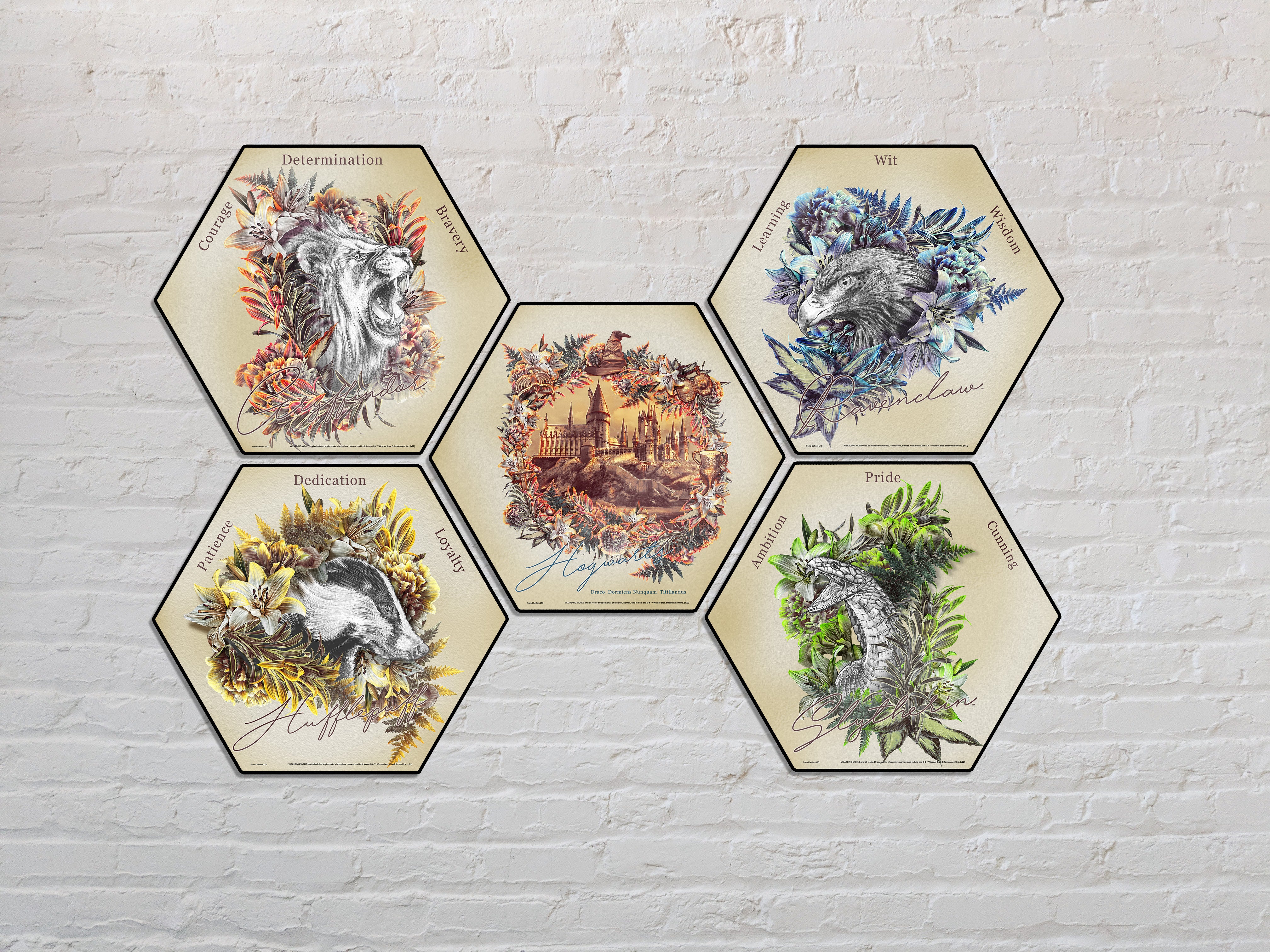 Harry Potter (Utilitarian Romance Slytherin) KNEXAGON® Wood Print WPHEX2069UTROM