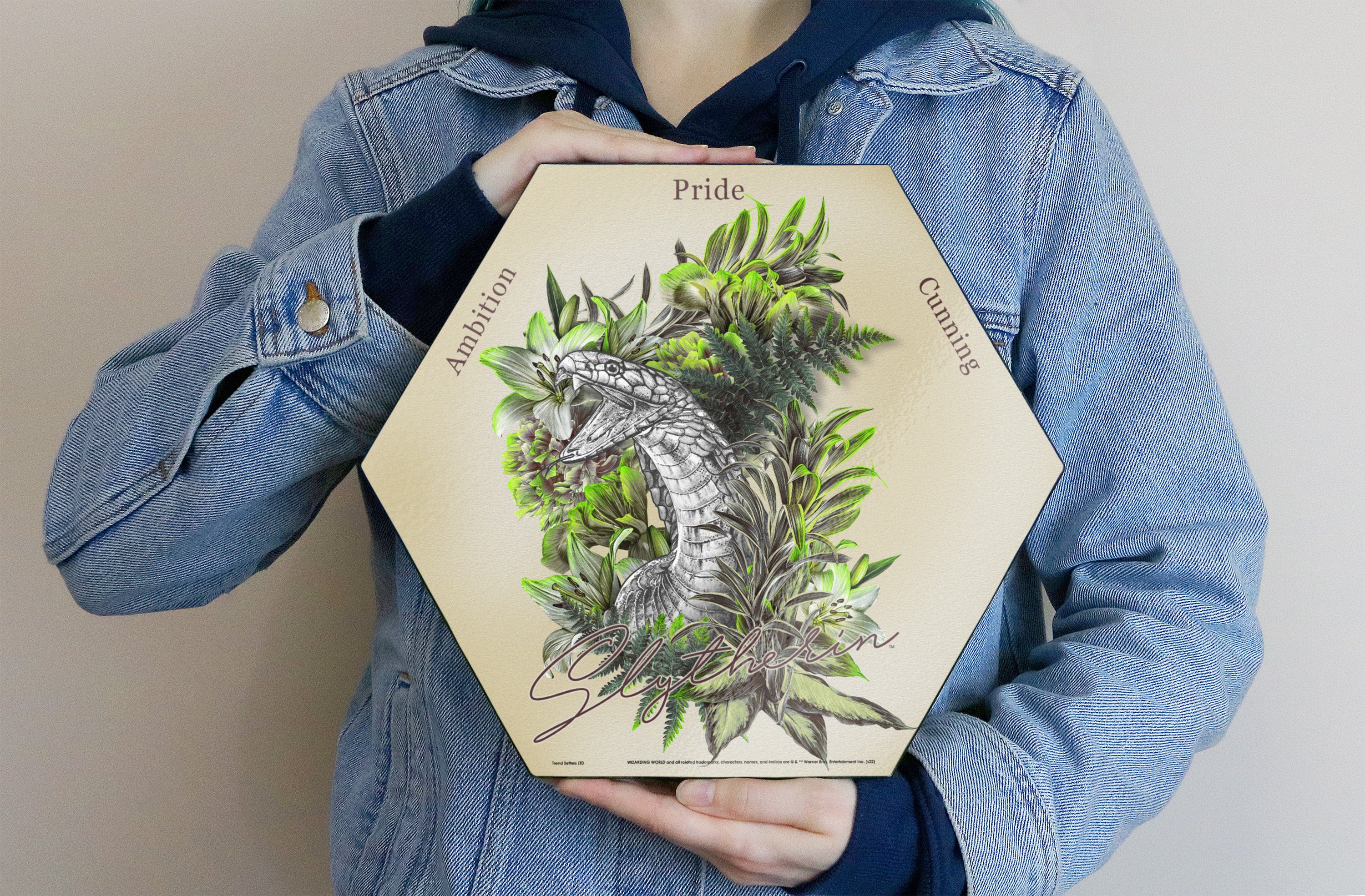 Harry Potter (Utilitarian Romance Slytherin) KNEXAGON® Wood Print WPHEX2069UTROM