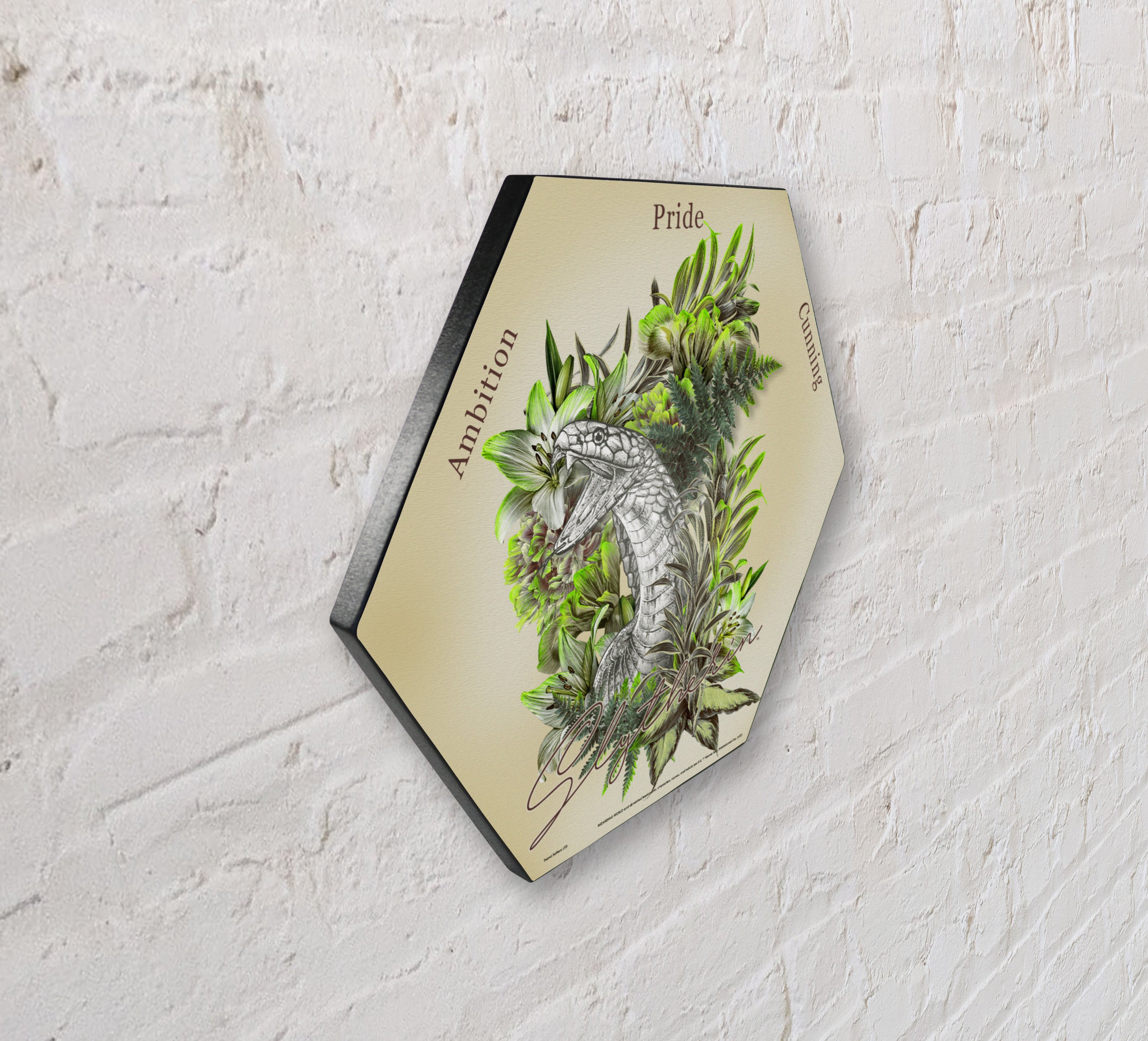 Harry Potter (Utilitarian Romance Slytherin) KNEXAGON® Wood Print WPHEX2069UTROM