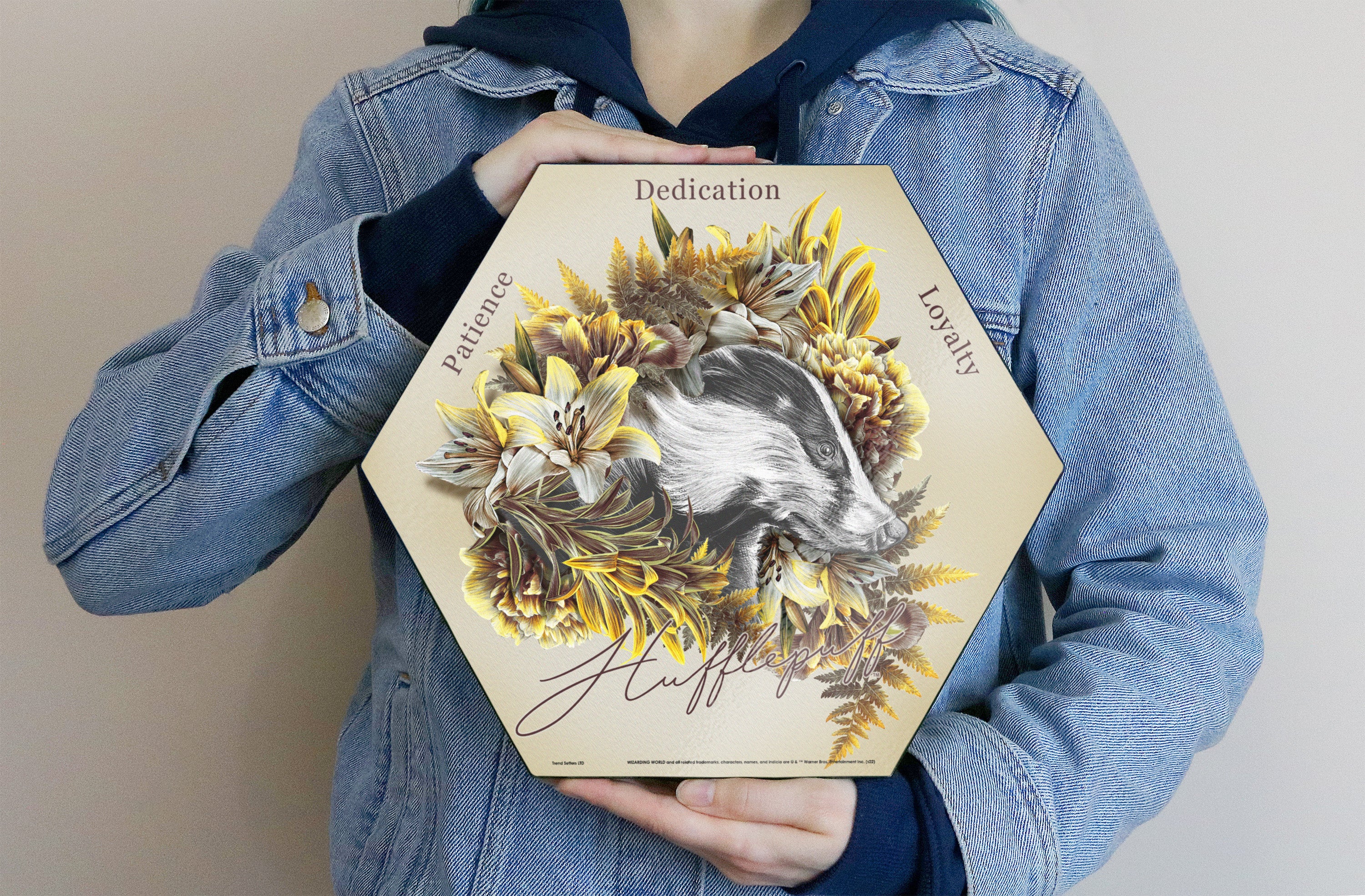 Harry Potter (Utilitarian Romance Hufflepuff) KNEXAGON® Wood Print WPHEX2192UTROM