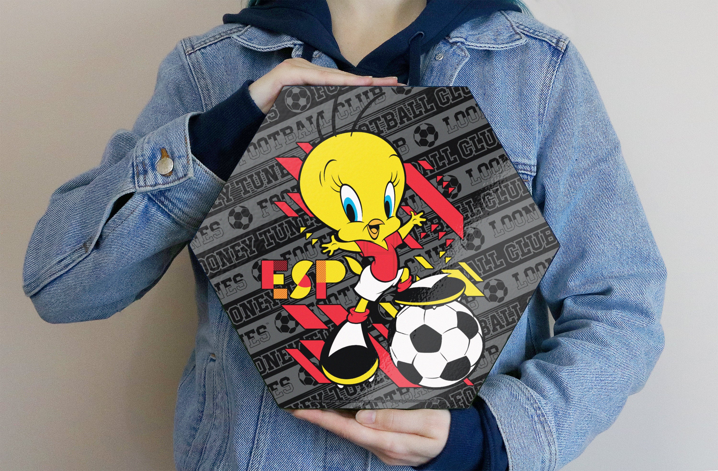 Looney Tunes (Team Spain Soccer - Tweety Bird) KNEXAGON® Wood Print WPHEX2841BOH