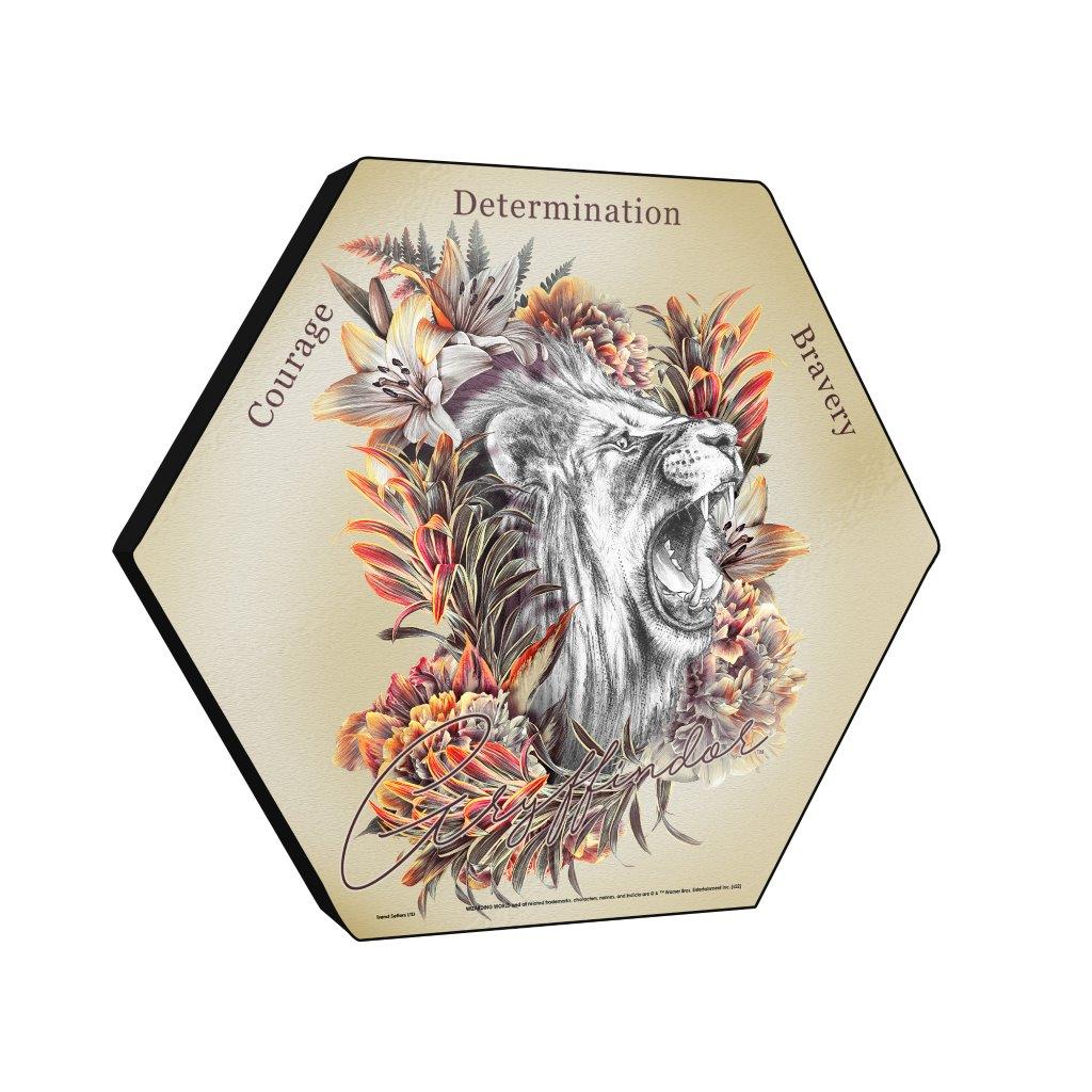 Harry Potter (Utilitarian Romance Gryffindor) KNEXAGON® Wood Print WPHEX3066UTROM