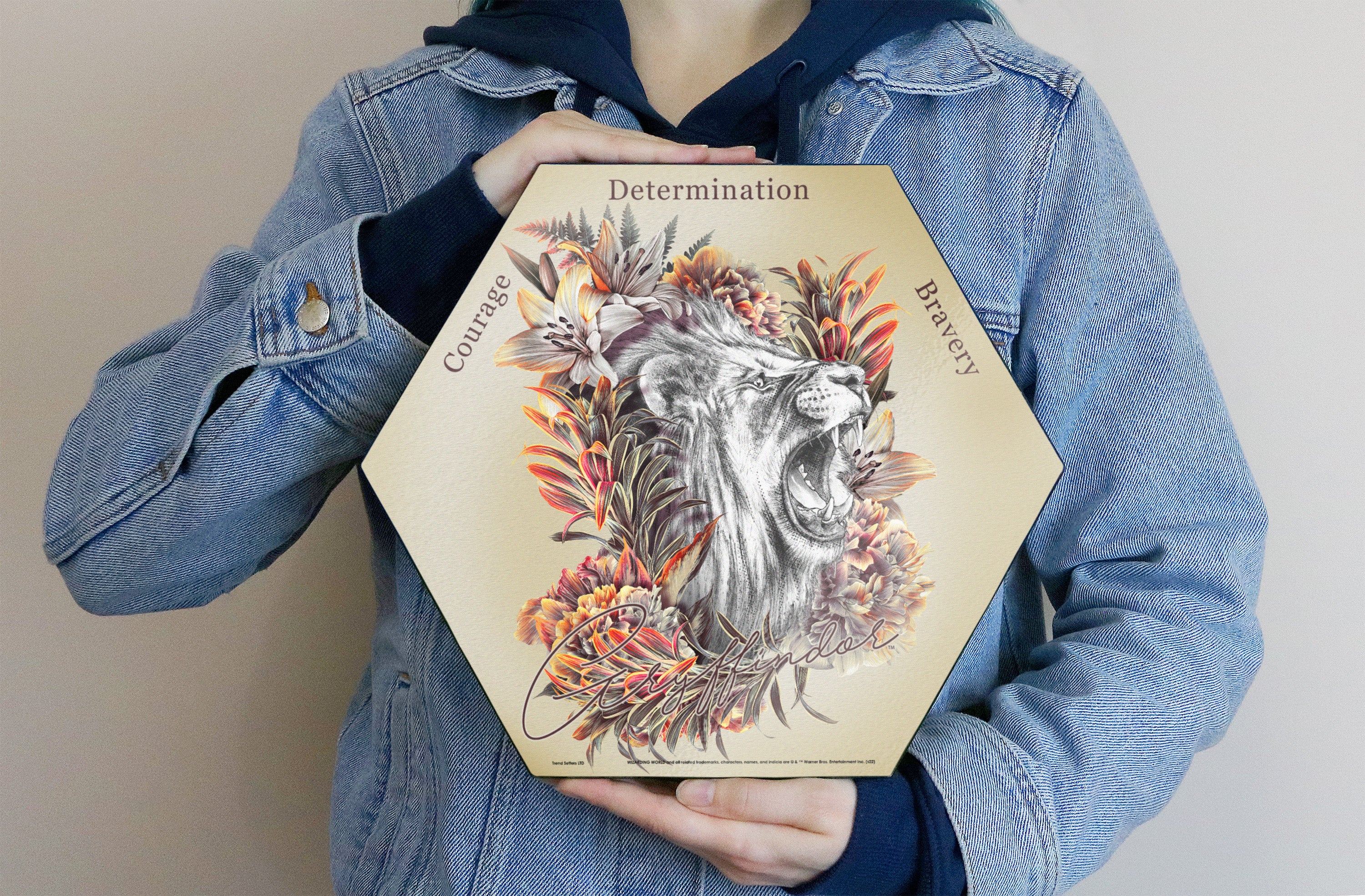 Harry Potter (Utilitarian Romance Gryffindor) KNEXAGON® Wood Print WPHEX3066UTROM