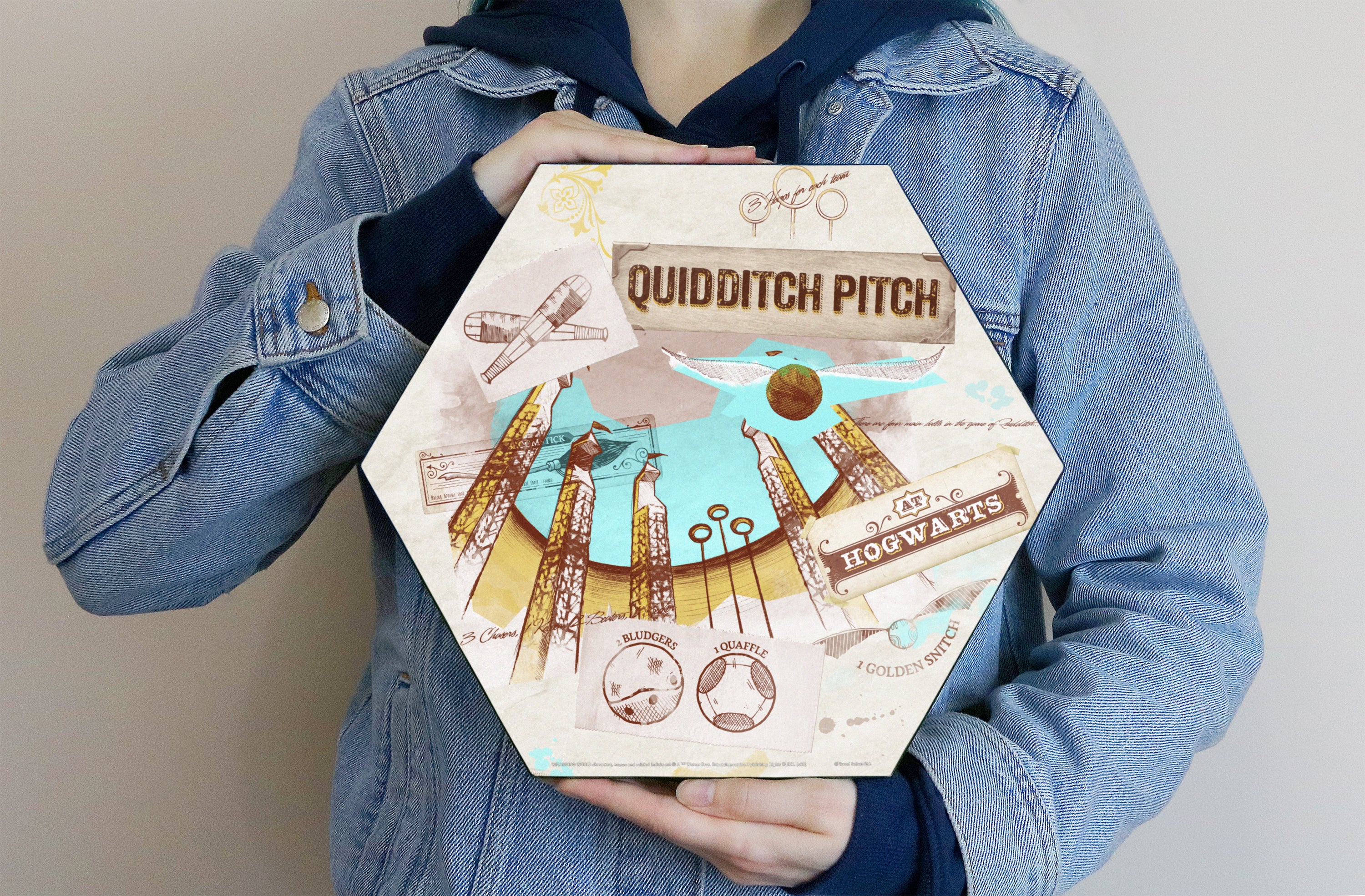 Harry Potter (Quidditch Pitch) KNEXAGON® Wood Print WPHEX3143HPPL