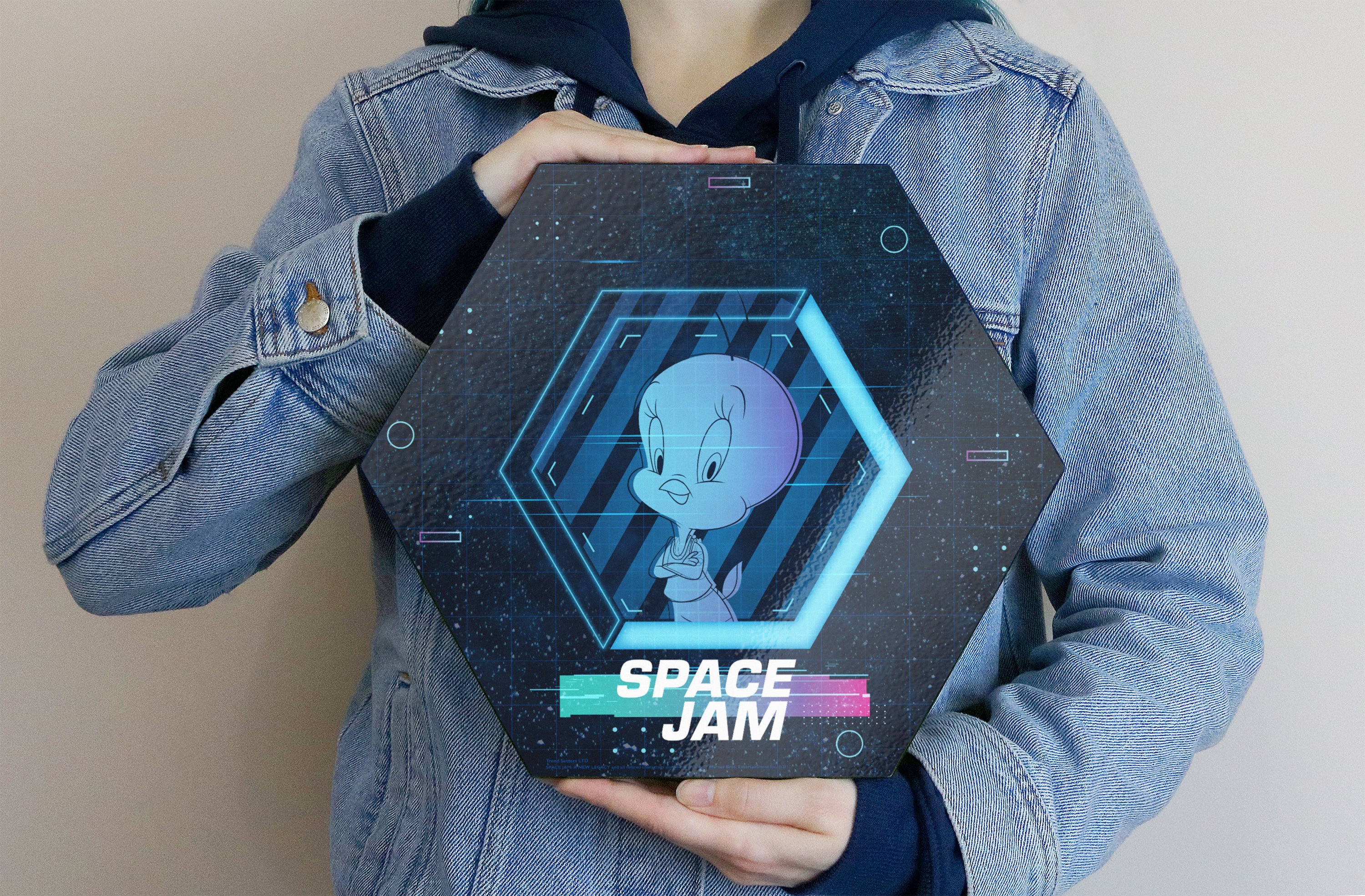 Space Jam: A New Legacy (Tune Squad- Tweety Bird) KNEXAGON® Wood Print WPHEX3199SJTS