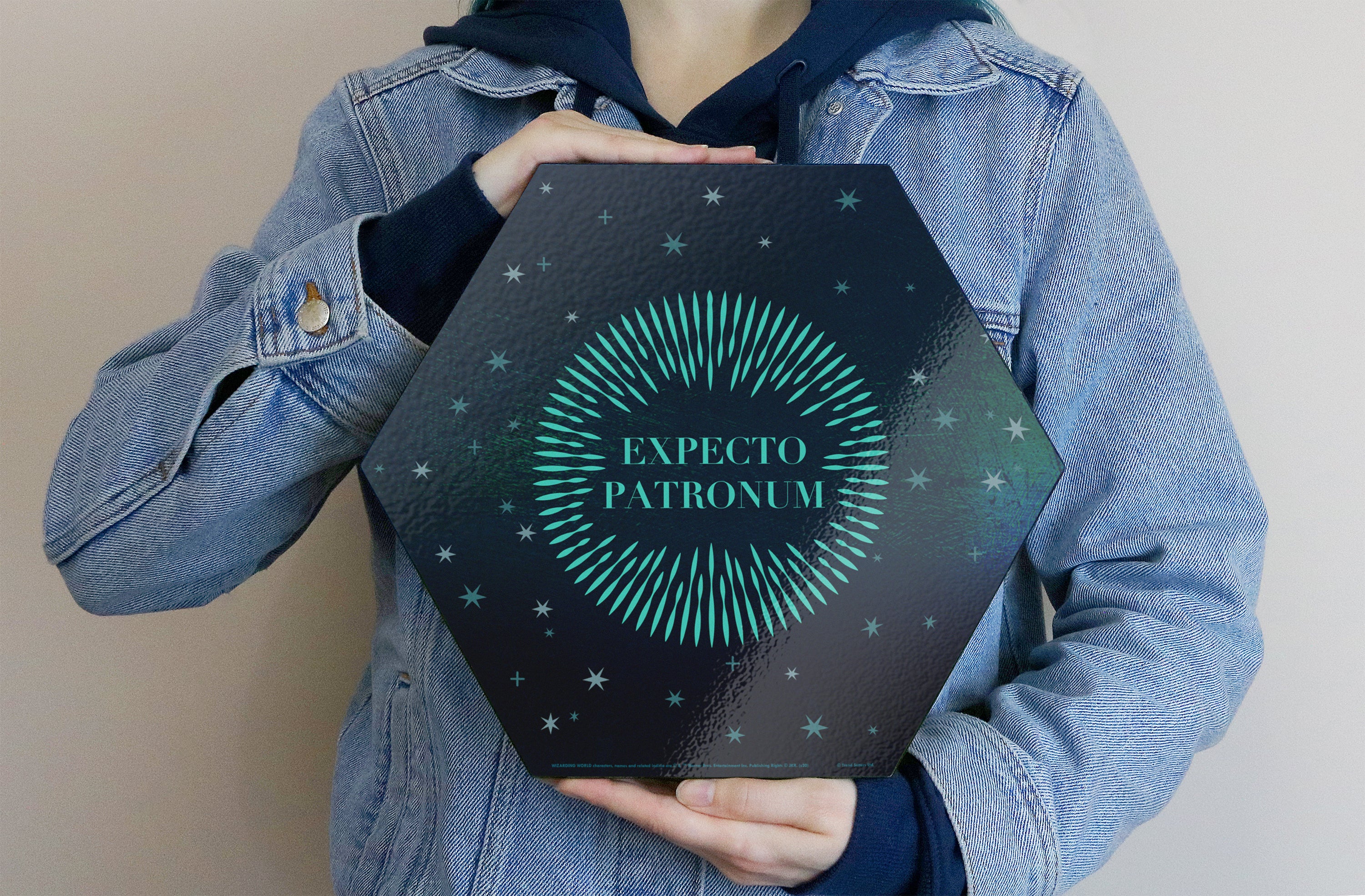 Harry Potter (Patronus - Expecto Patronum) KNEXAGON® Wood Print WPHEX3307HPAR