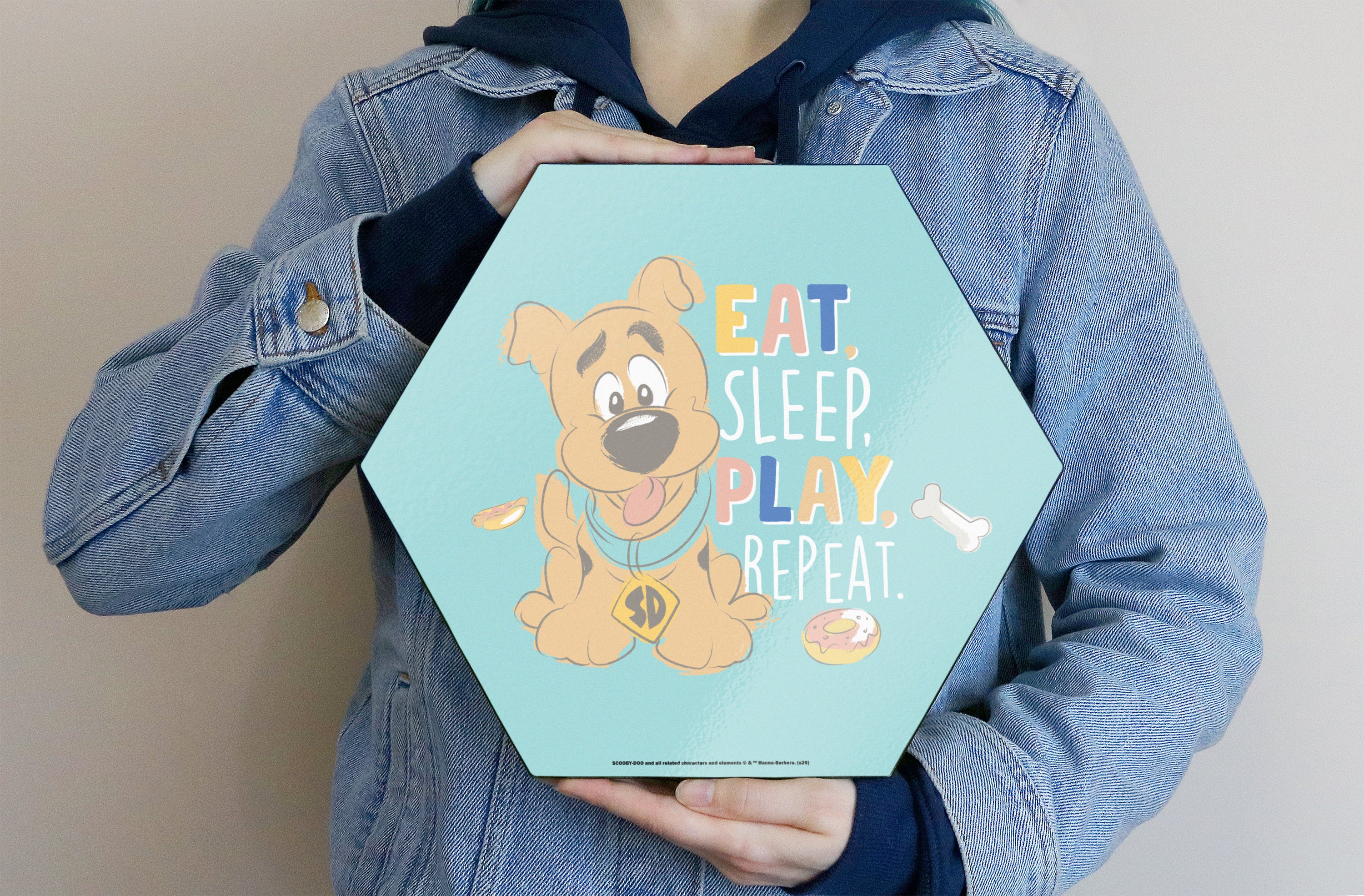 Scooby-Doo (Eat Sleep Play) KNEXAGON® Wood Print WPHEX3418