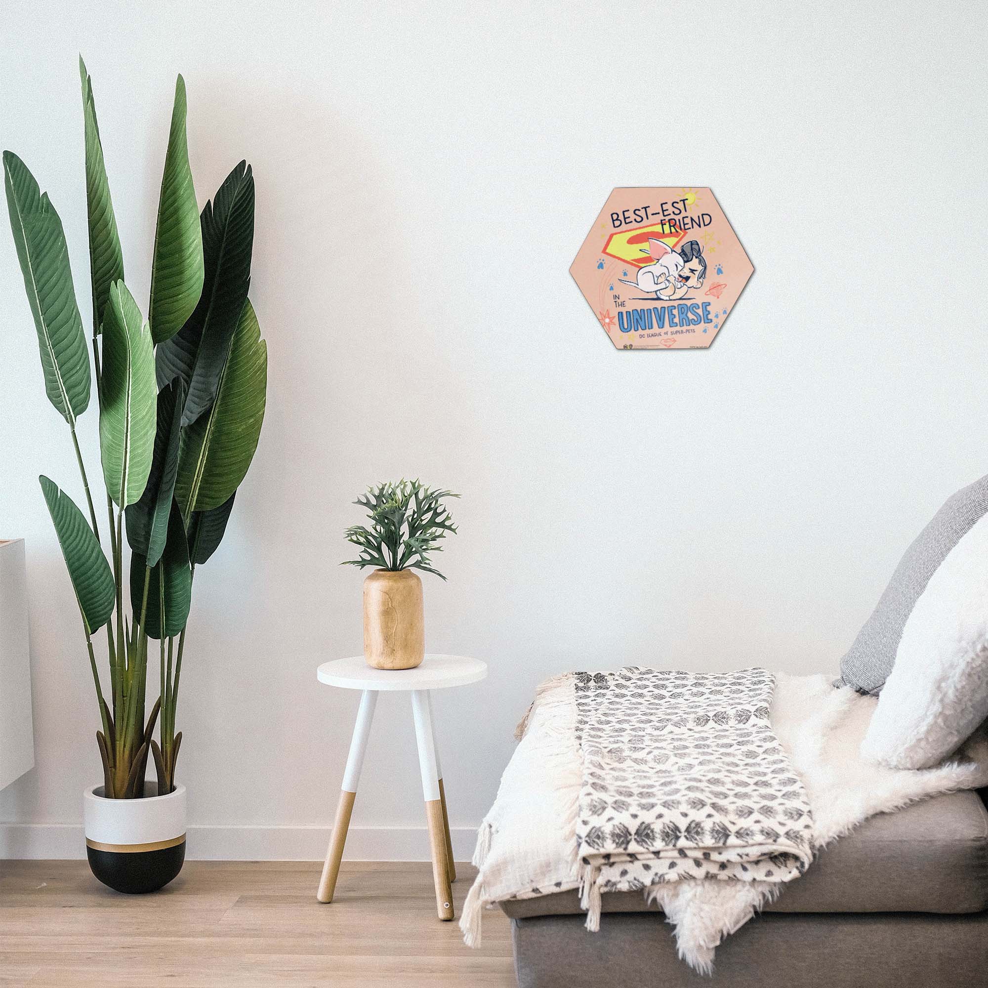 DC League of Super-Pets (Bestest Friend) KNEXAGON® Wood Print WPHEX3456