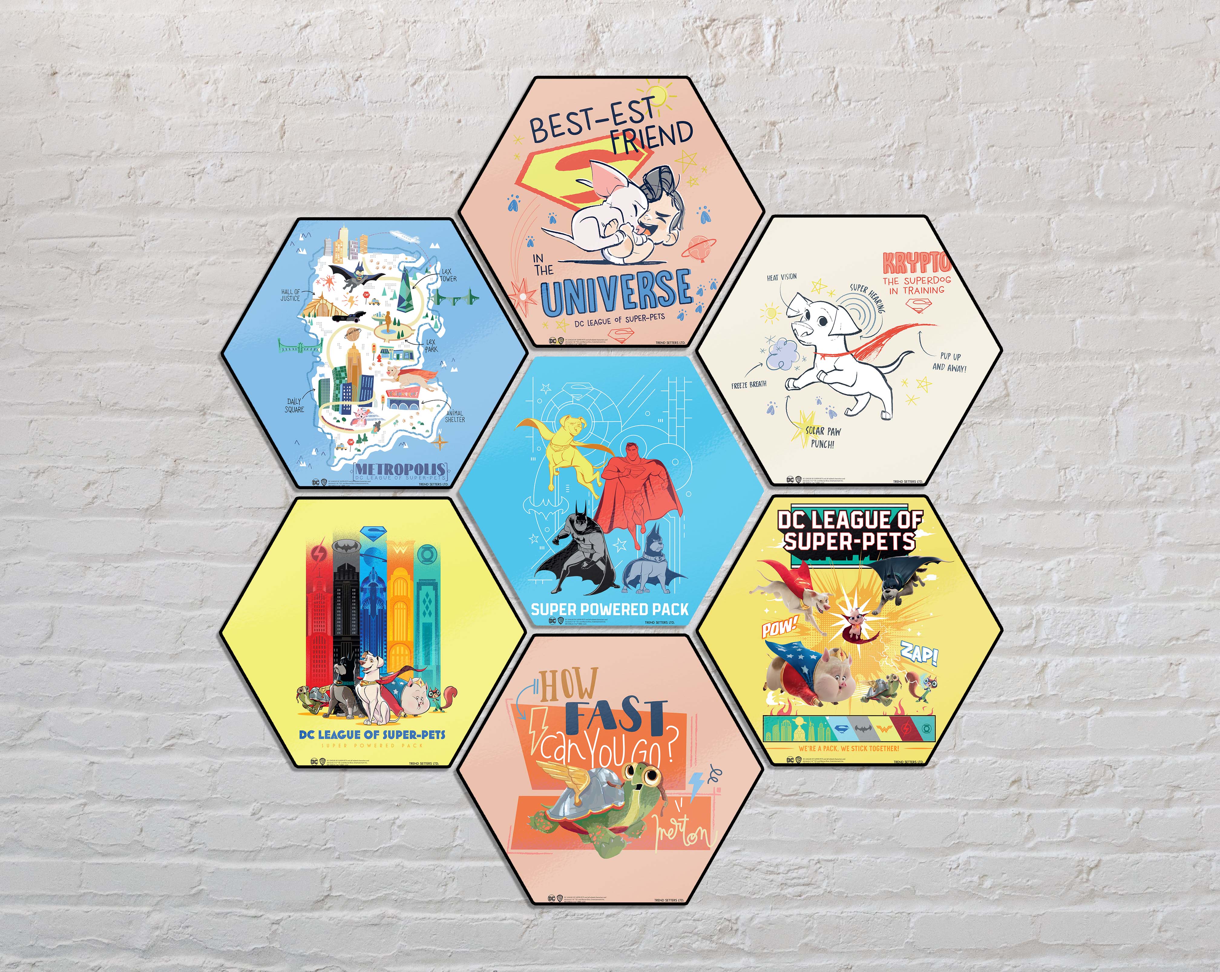 DC League of Super-Pets (Bestest Friend) KNEXAGON® Wood Print WPHEX3456